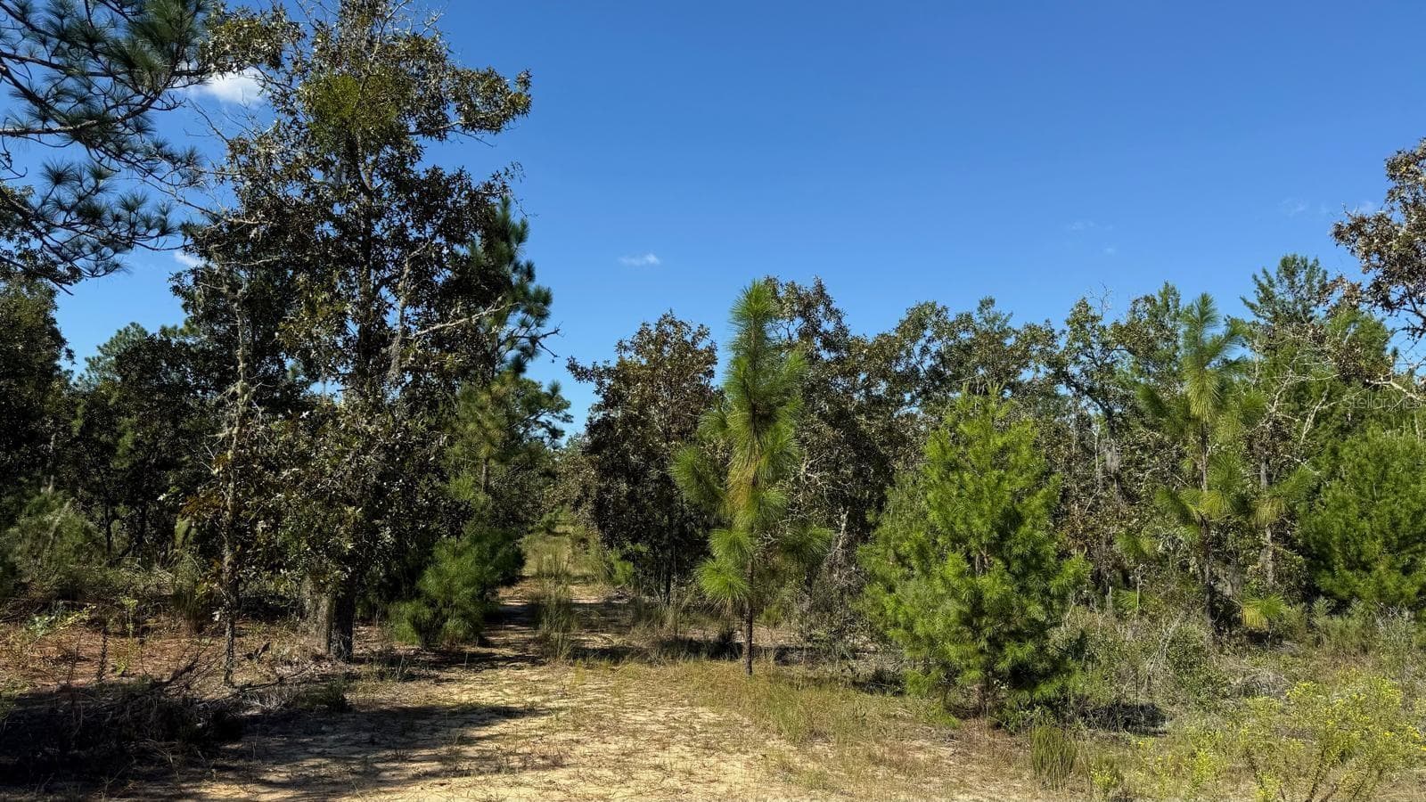Land at 118 LINDA LN, INTERLACHEN, photo 4 of 5
