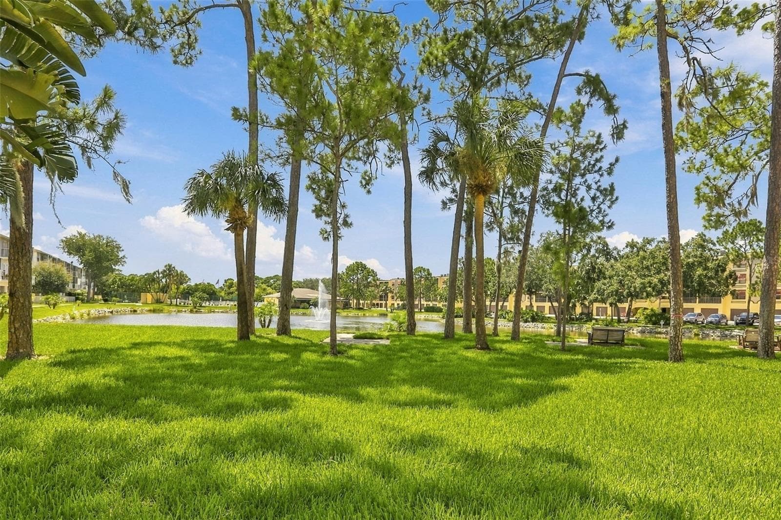 Condominium at 5817 PARK ST N #212, ST PETERSBURG, photo 35 of 49