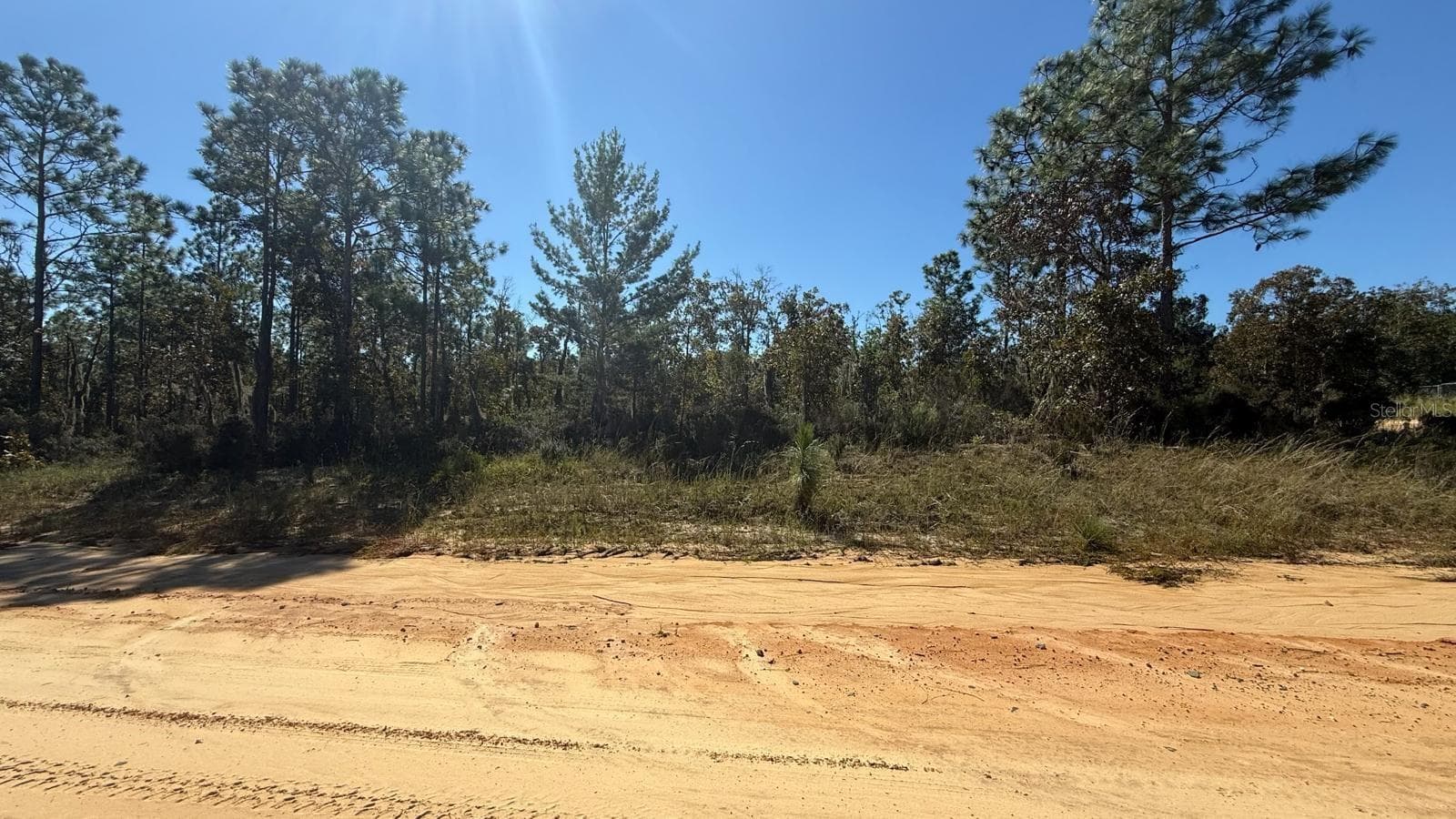 Land at 1403 DREW LN, INTERLACHEN, photo 4 of 9