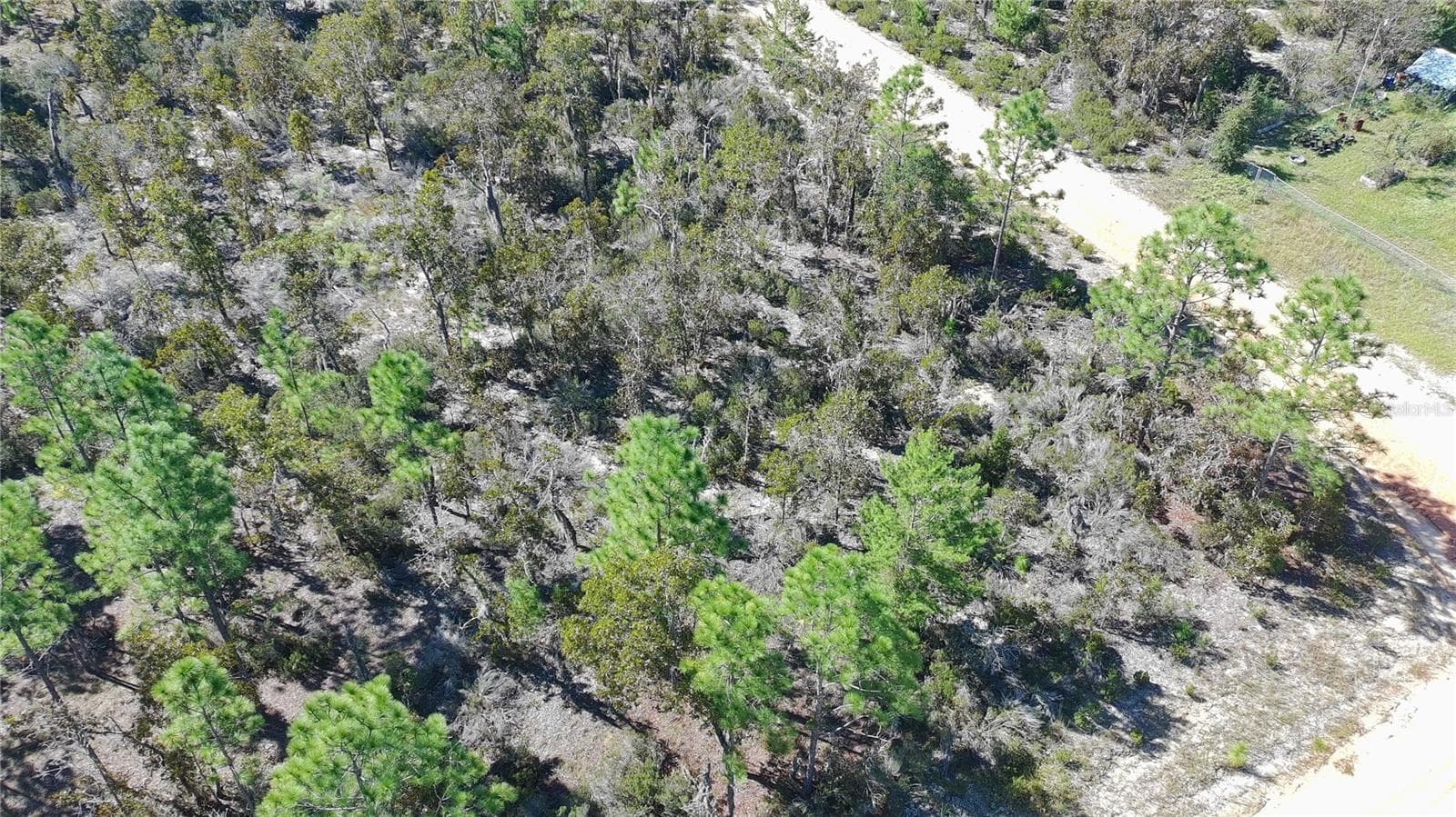 Land at 1403 DREW LN, INTERLACHEN, photo 7 of 9