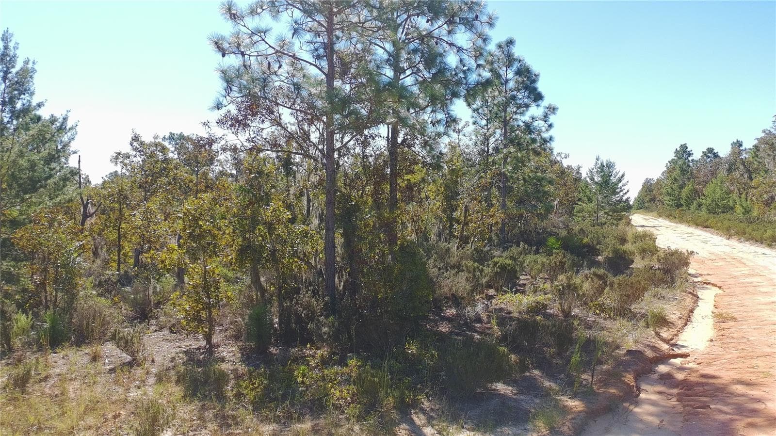 Land at 1403 DREW LN, INTERLACHEN, photo 9 of 9