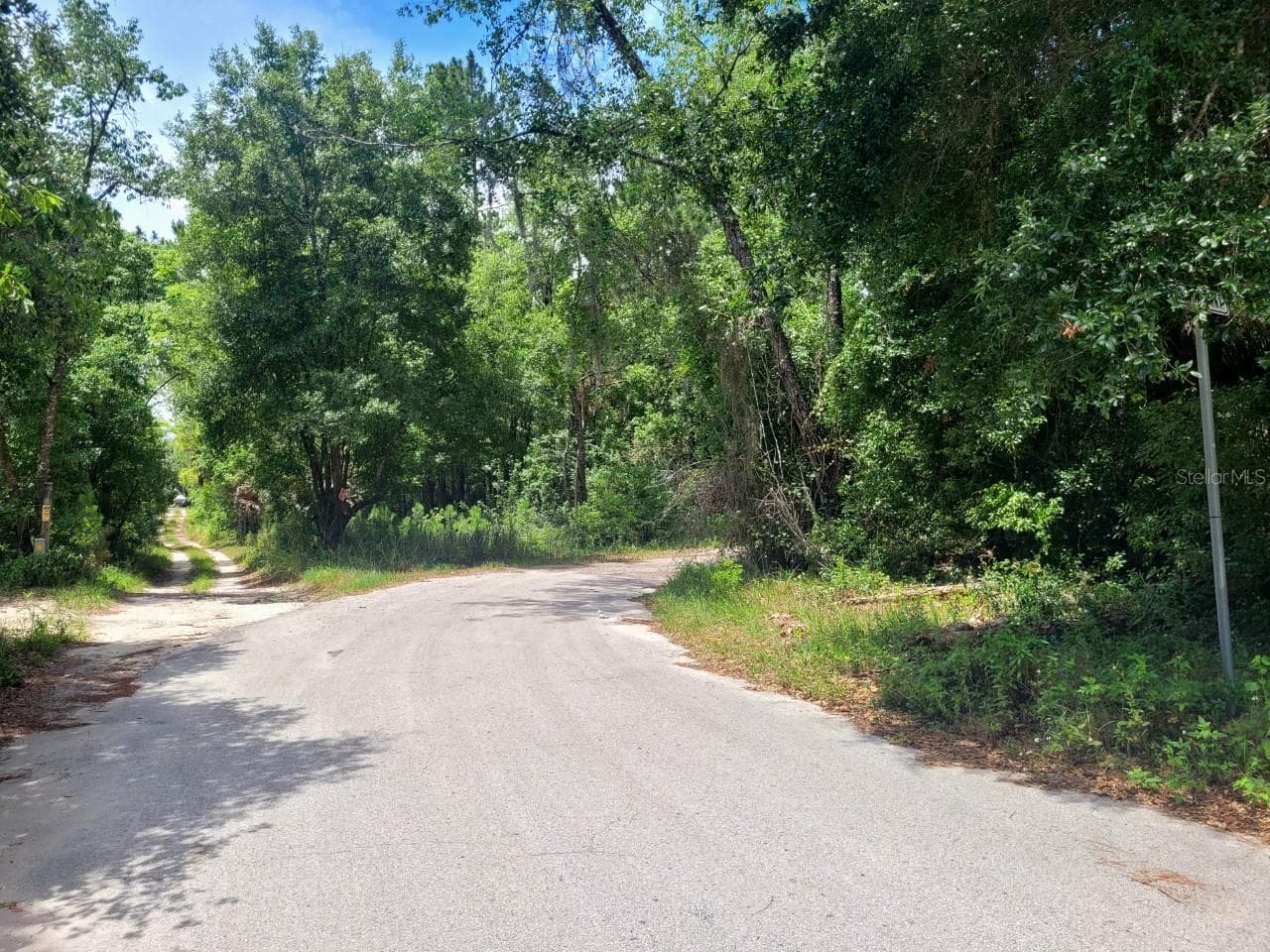 Land at TROPICAL DR, EUSTIS, photo 5 of 19