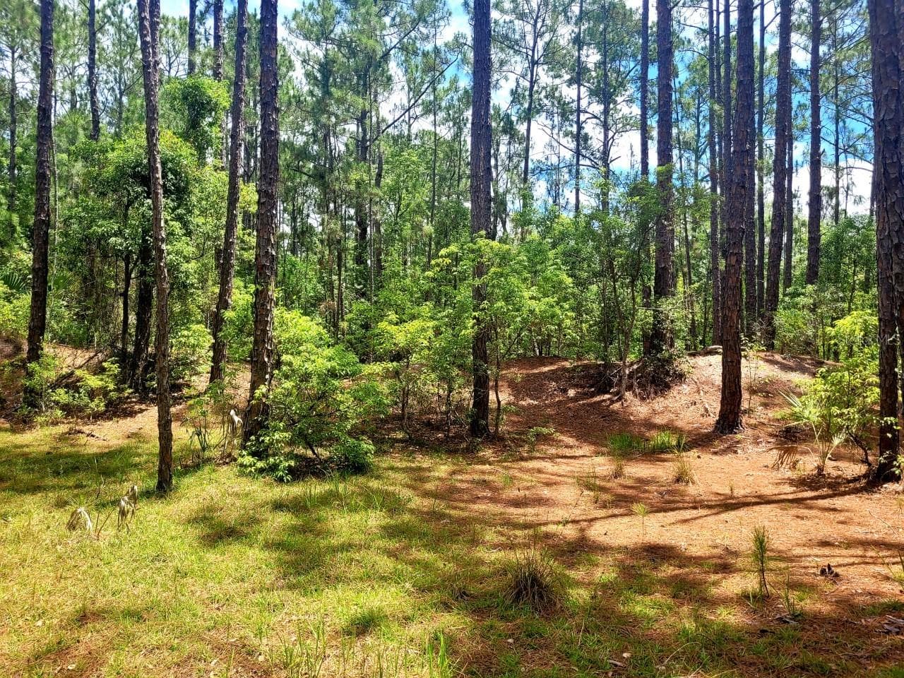 Land at TROPICAL DR, EUSTIS, photo 11 of 19