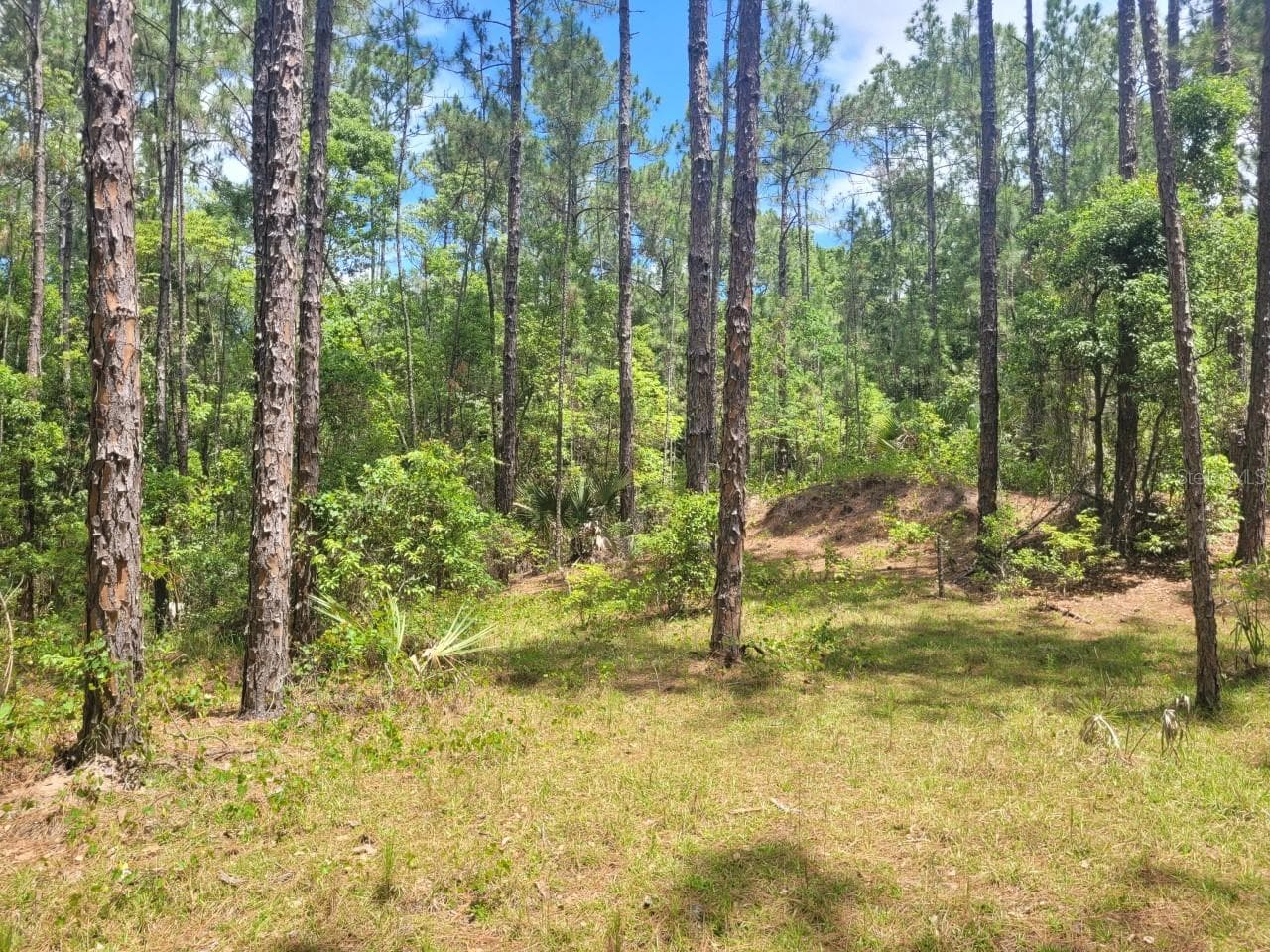 Land at TROPICAL DR, EUSTIS, photo 13 of 19