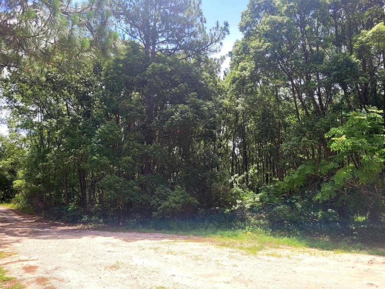 Land at TROPICAL DR, EUSTIS, photo 14 of 19