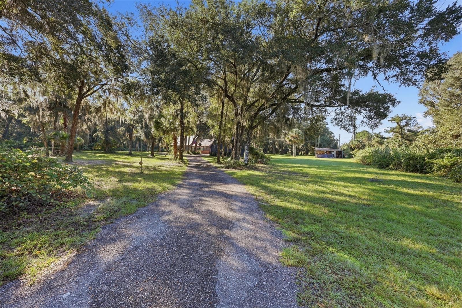 DRIVEWAY - FRONT YARD - 2290 MUD LAKE RD, DE LEON SPRINGS