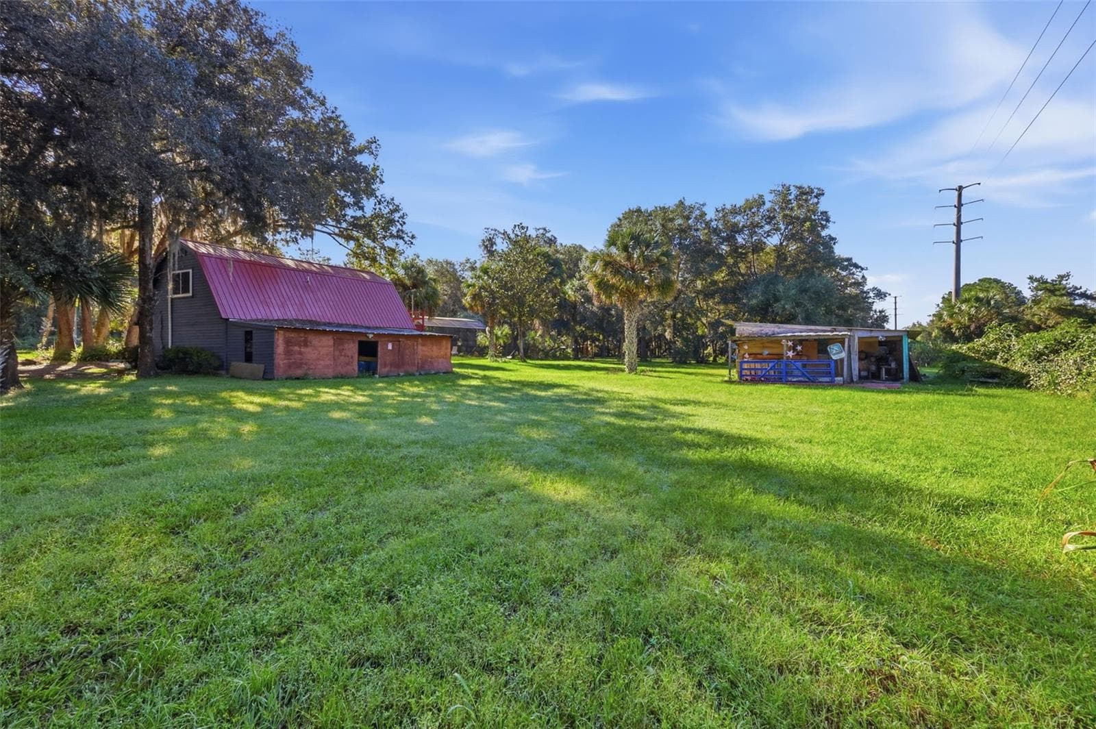 SIDE YARD - DETACHED GARAGE - STORAGE BARN - 2290 MUD LAKE RD, DE LEON SPRINGS