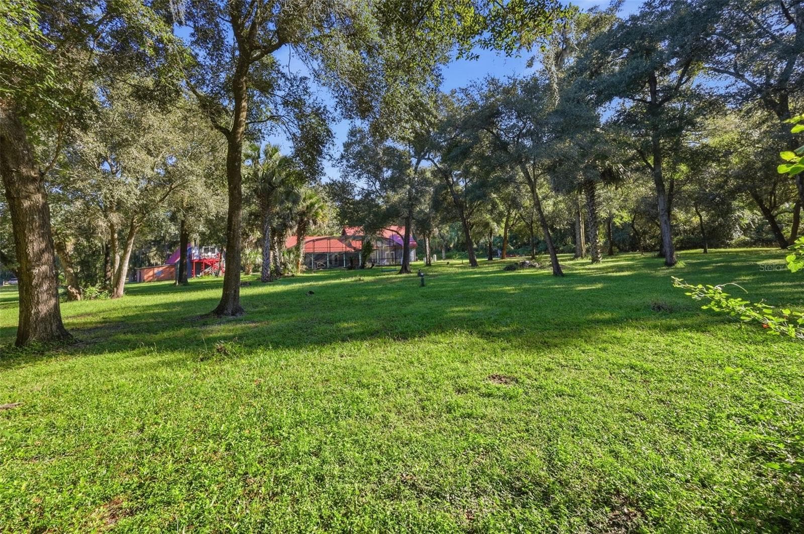 BACK YARD - 2290 MUD LAKE RD, DE LEON SPRINGS