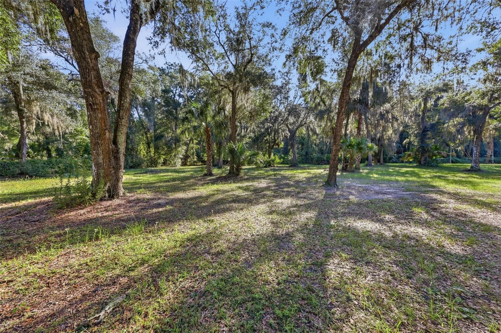 PROPERTY LAND - 2290 MUD LAKE RD, DE LEON SPRINGS