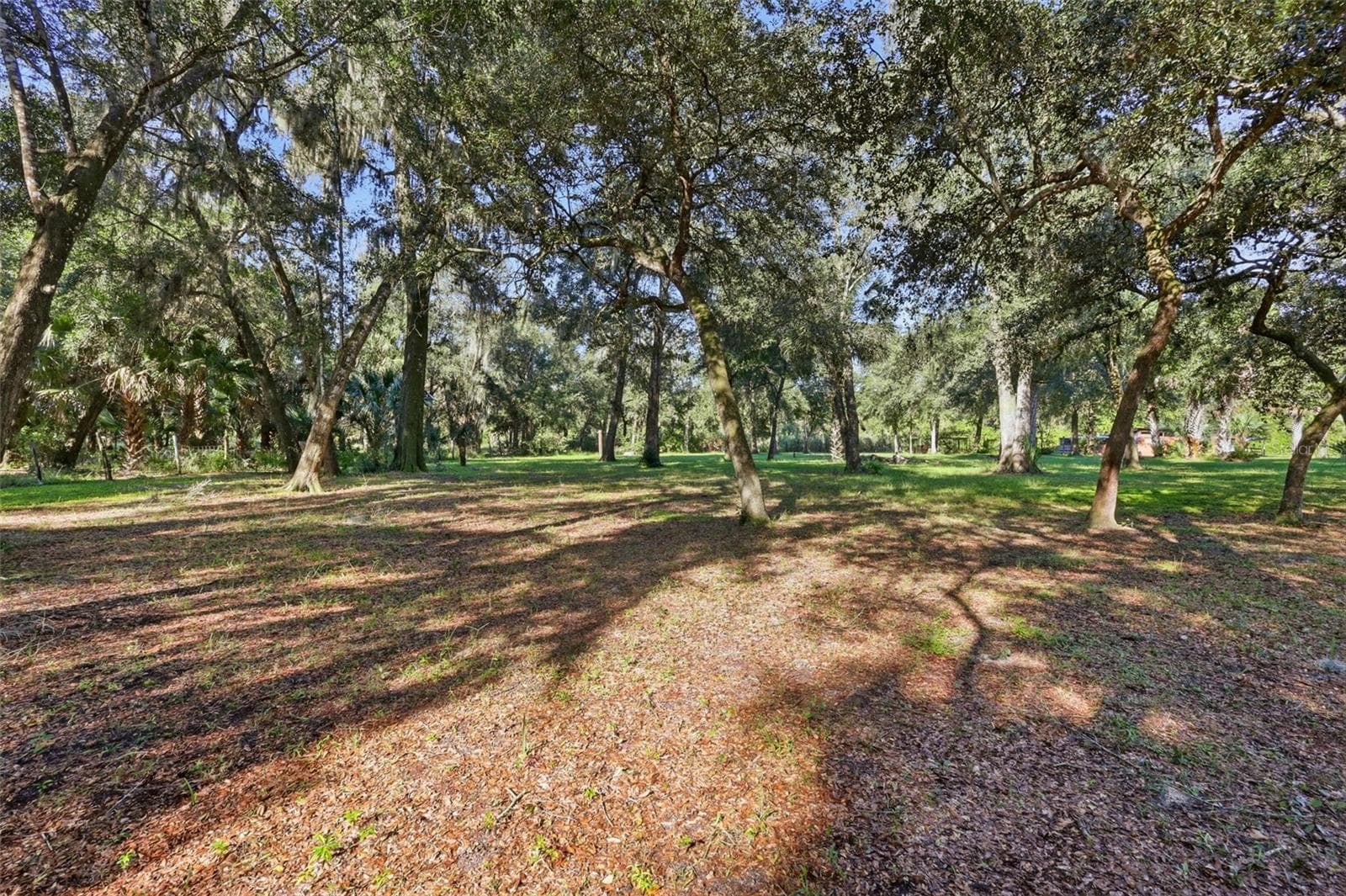 PROPERTY LAND - 2290 MUD LAKE RD, DE LEON SPRINGS