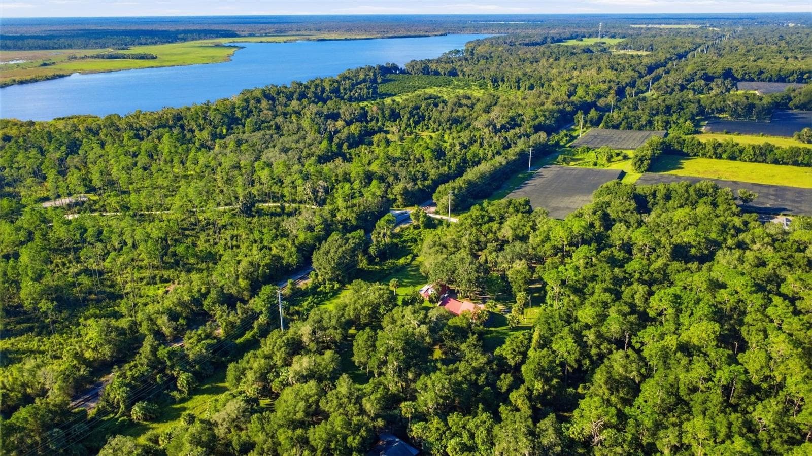 EXPANSIVE OVERVIEW OF THE AREA - 2290 MUD LAKE RD, DE LEON SPRINGS