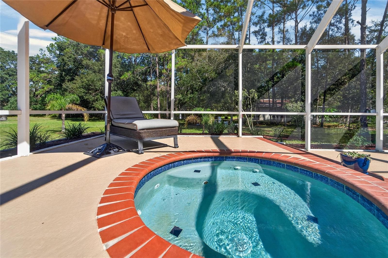 Spa - 28329 LINDENHURST DR, WESLEY CHAPEL