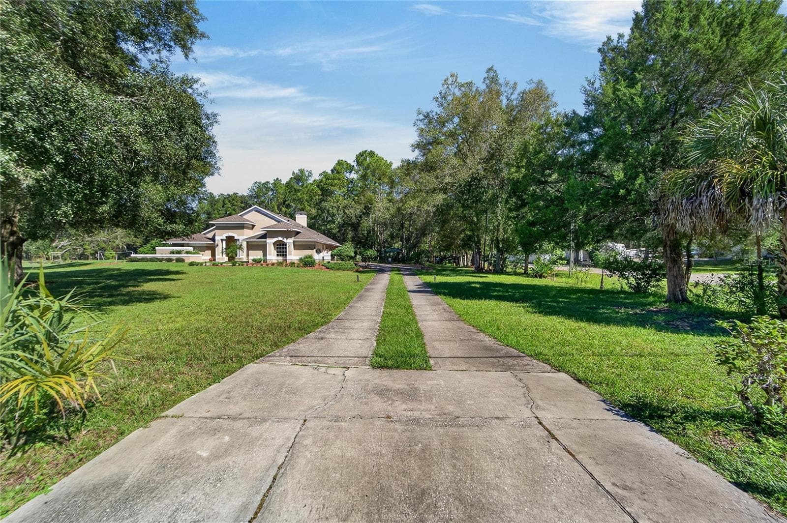 Long private drive to house - 28329 LINDENHURST DR, WESLEY CHAPEL