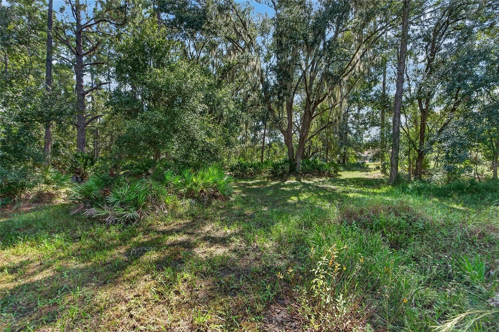 Trails in wooded lots - 28329 LINDENHURST DR, WESLEY CHAPEL