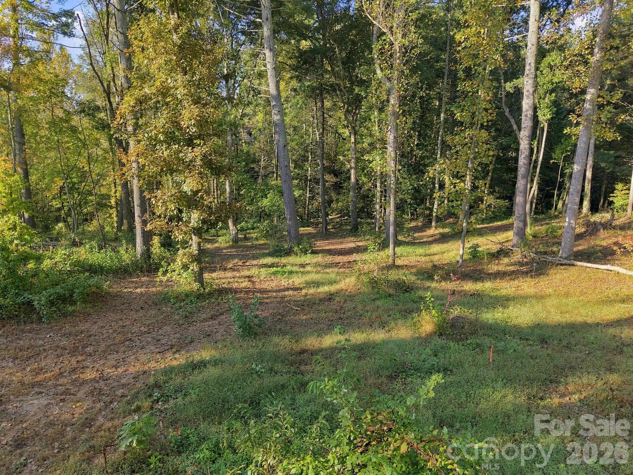 Clearing - 99999 Cane Creek Road, Fletcher