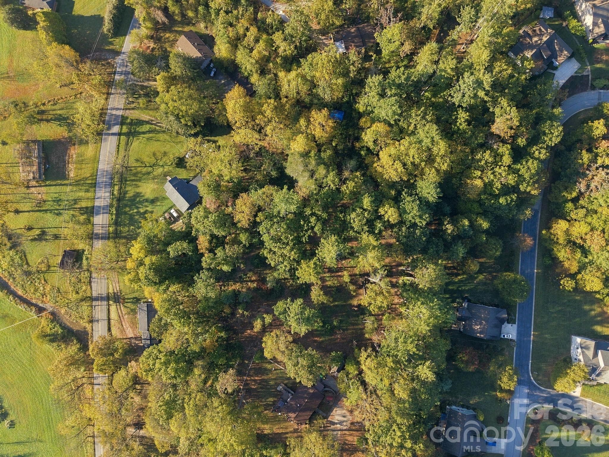 Cane Creek road to left of photo - 99999 Cane Creek Road, Fletcher