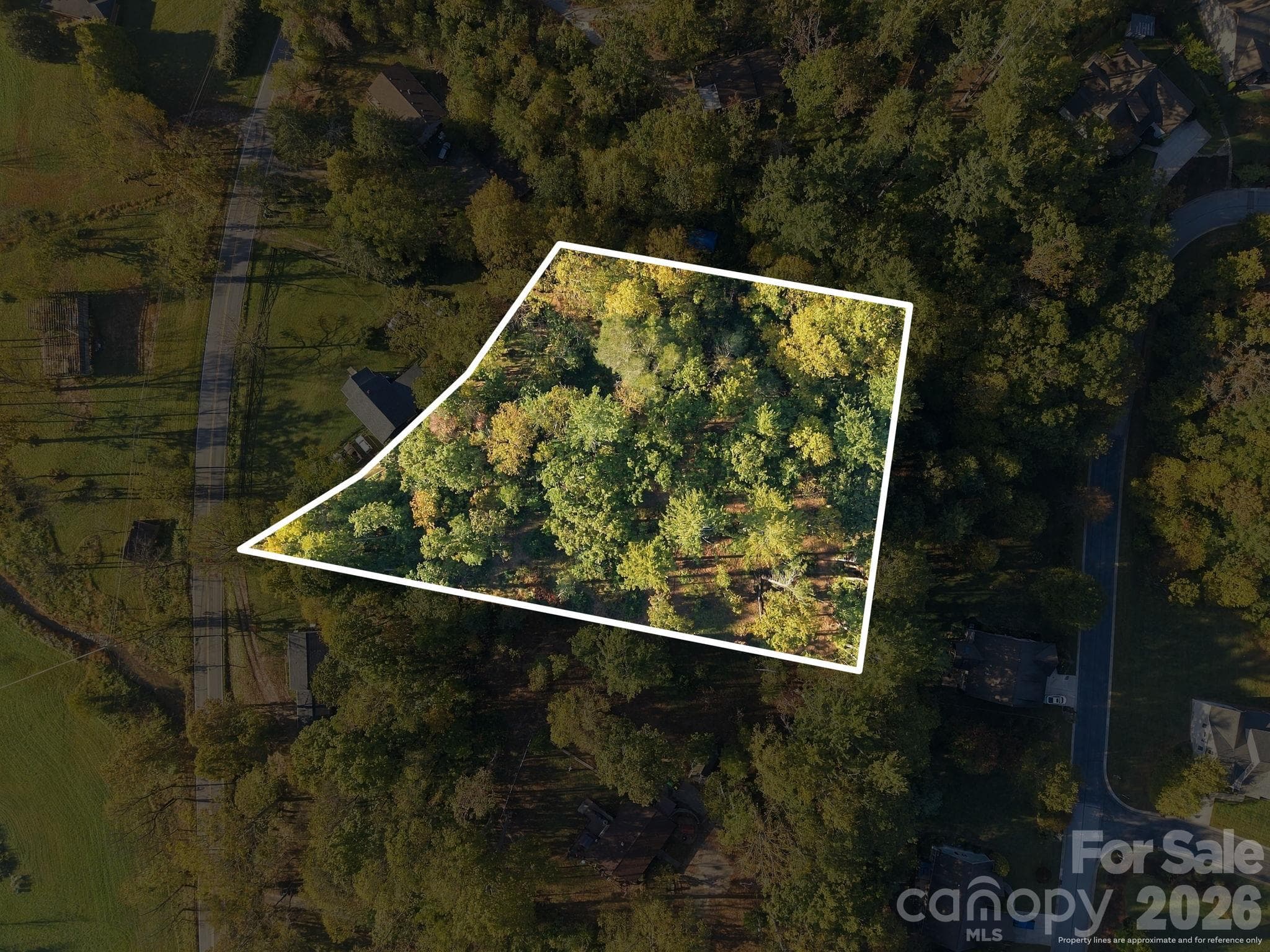 General outline of property (not a survey) - 99999 Cane Creek Road, Fletcher