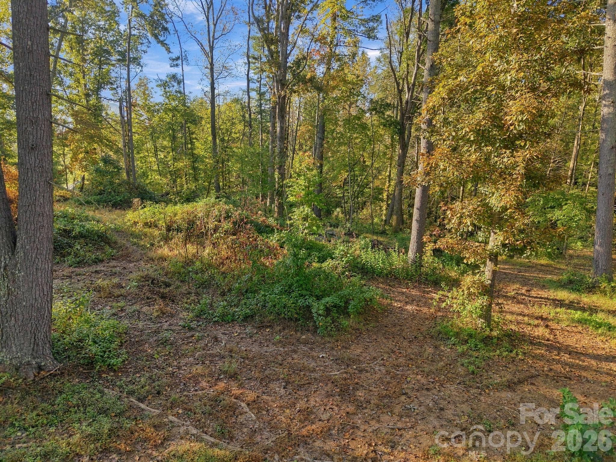 Gentle terrain - 99999 Cane Creek Road, Fletcher