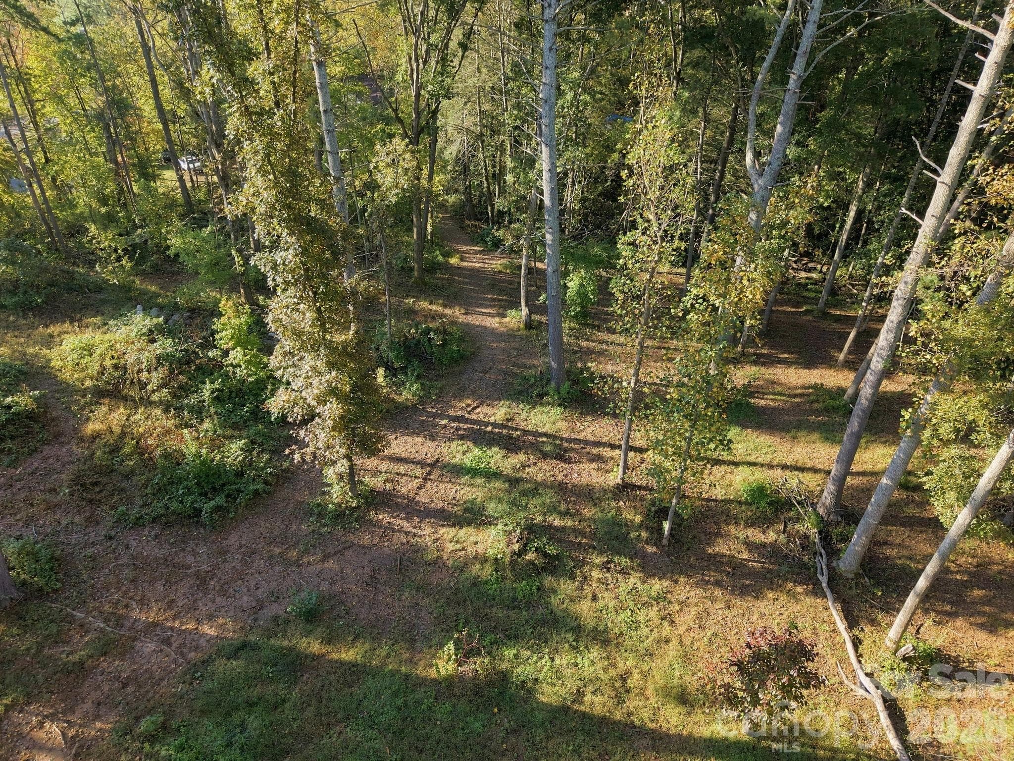 Lower level aerial - 99999 Cane Creek Road, Fletcher