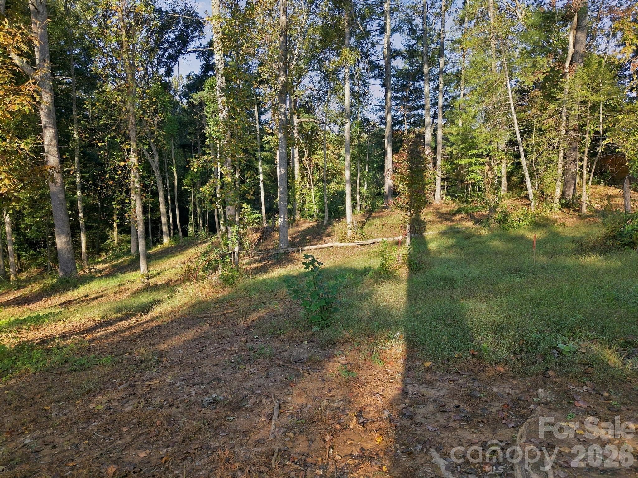 Gentle terrain and clearing - 99999 Cane Creek Road, Fletcher