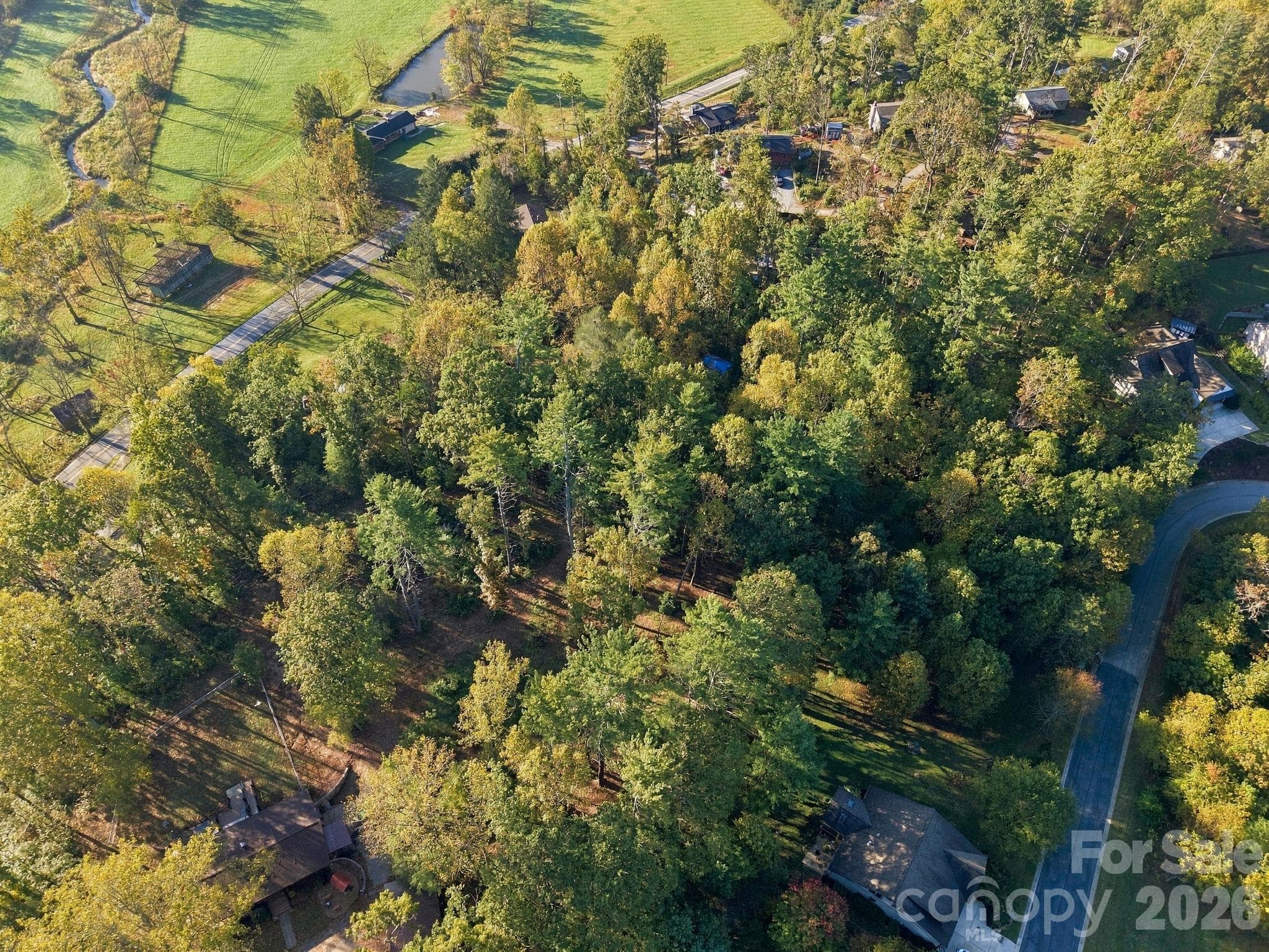 Lot at 99999 Cane Creek Road, Fletcher, photo 16 of 18