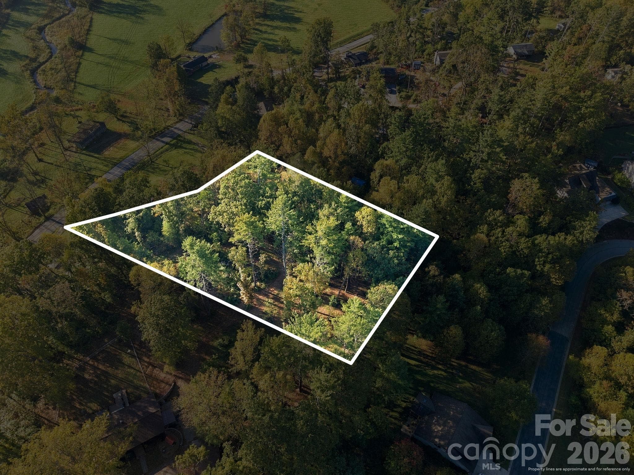 Lot at 99999 Cane Creek Road, Fletcher, photo 18 of 18