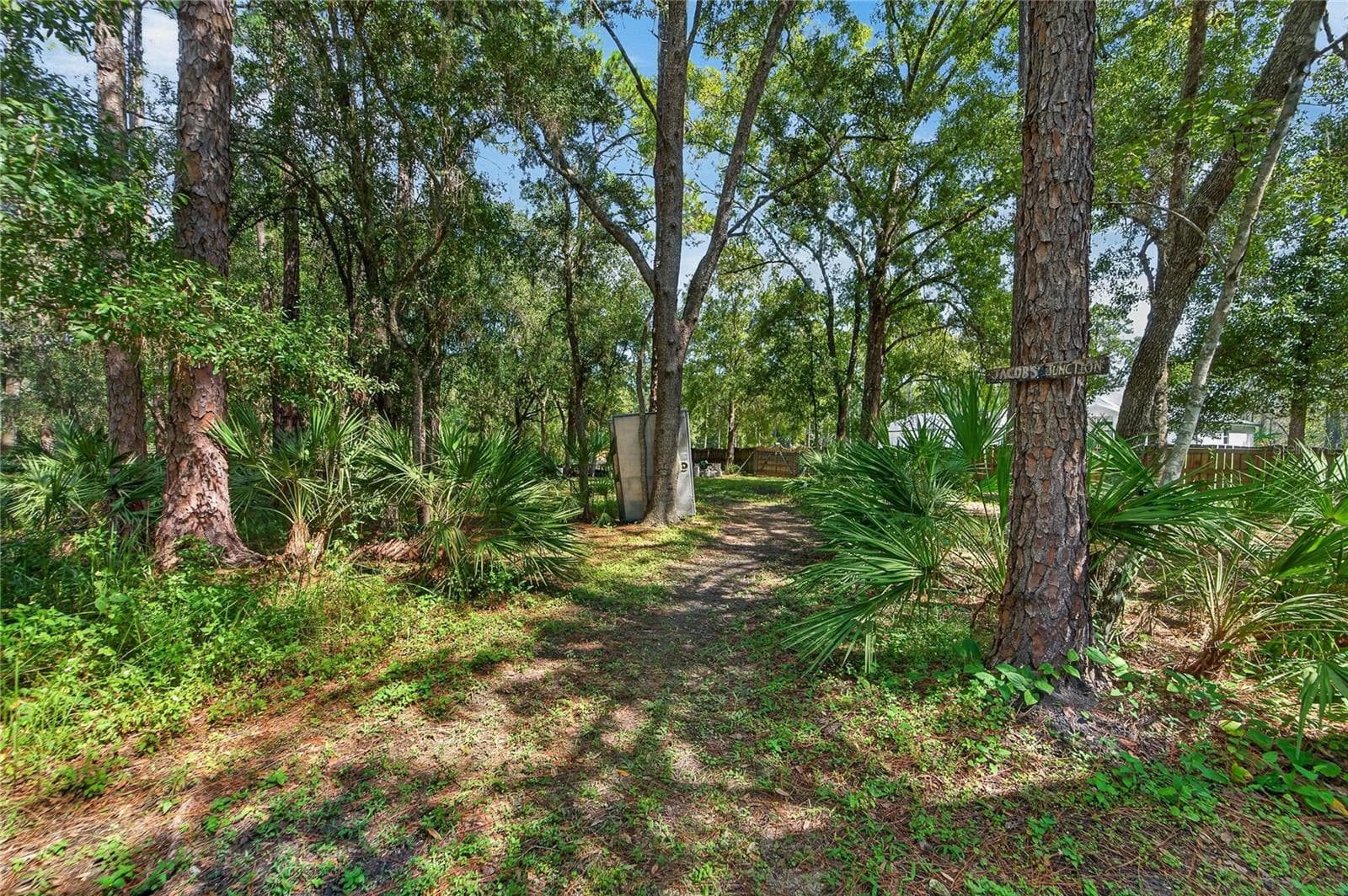 Lots of trails on the wooded lots - 0 OLCOTT DR, WESLEY CHAPEL