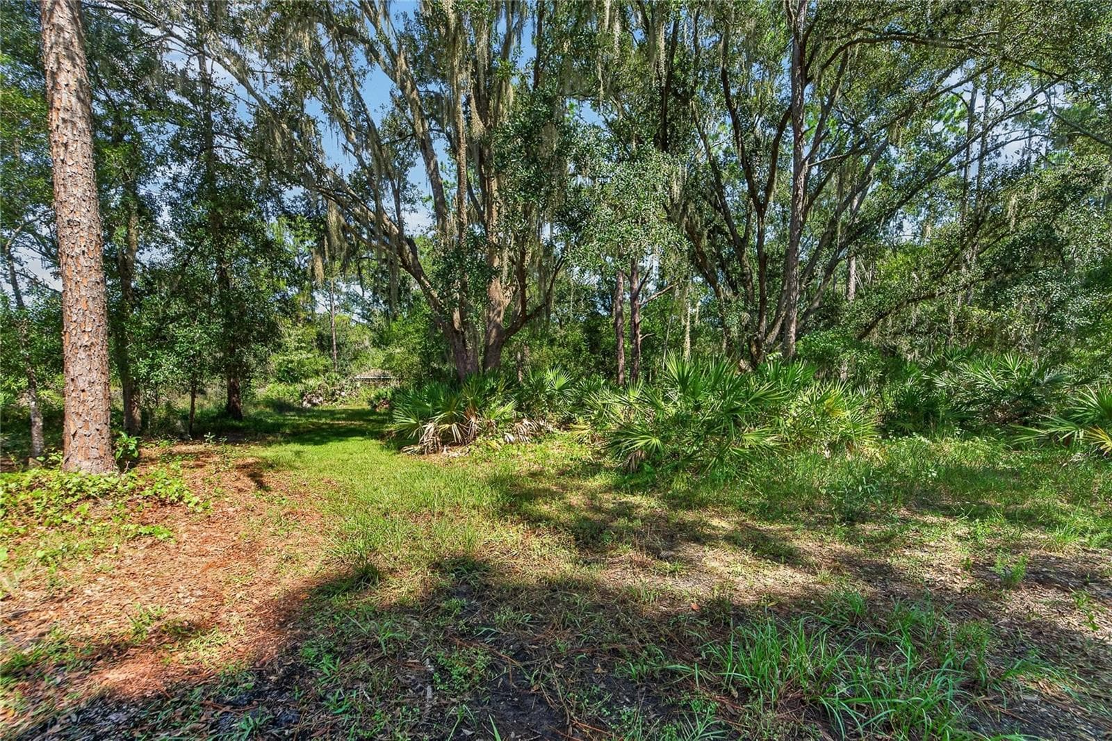 Land at 0 OLCOTT DR, WESLEY CHAPEL, photo 73 of 78