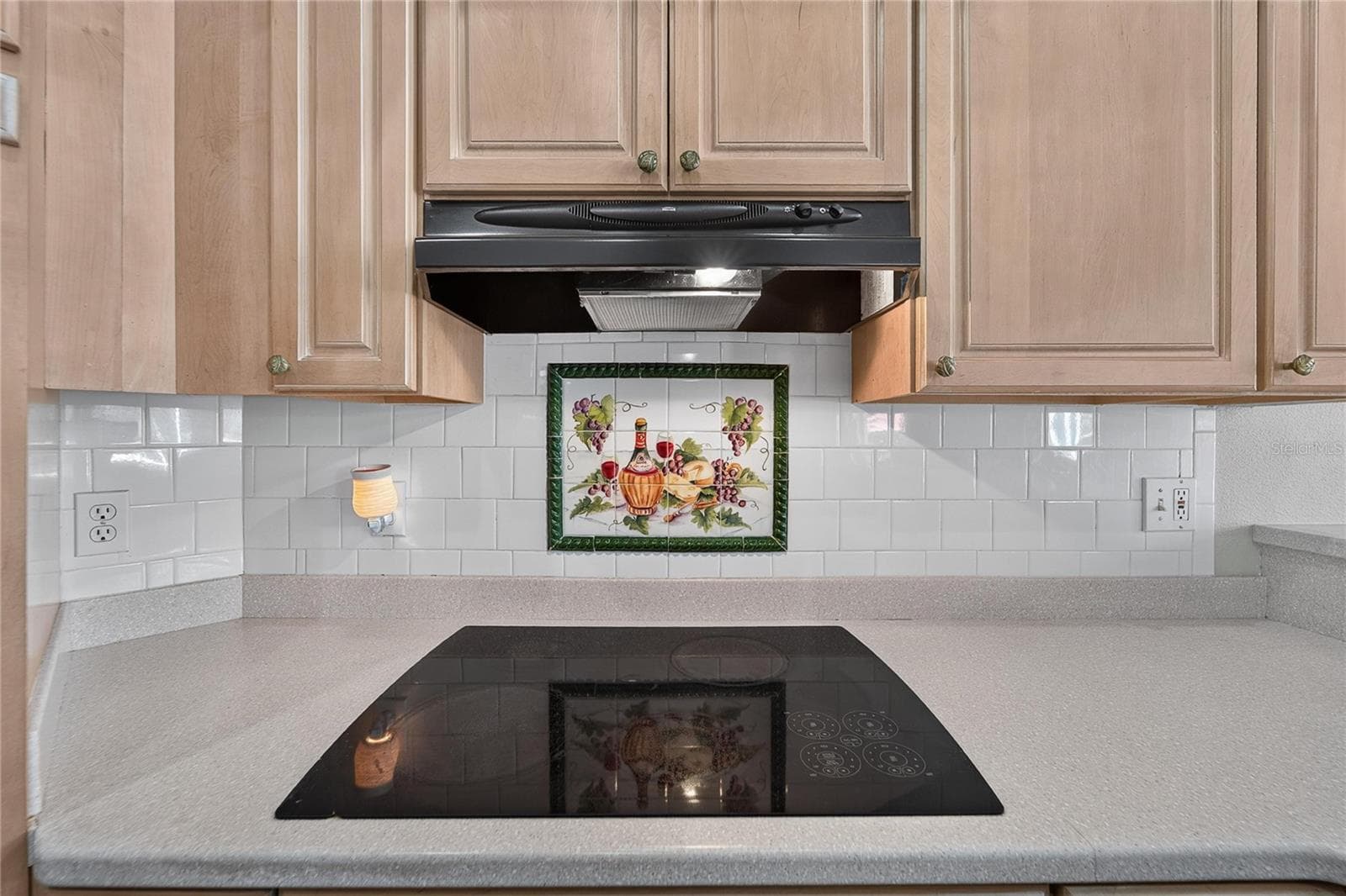 Glass cooktop - 0 LINDENHURST DR, WESLEY CHAPEL