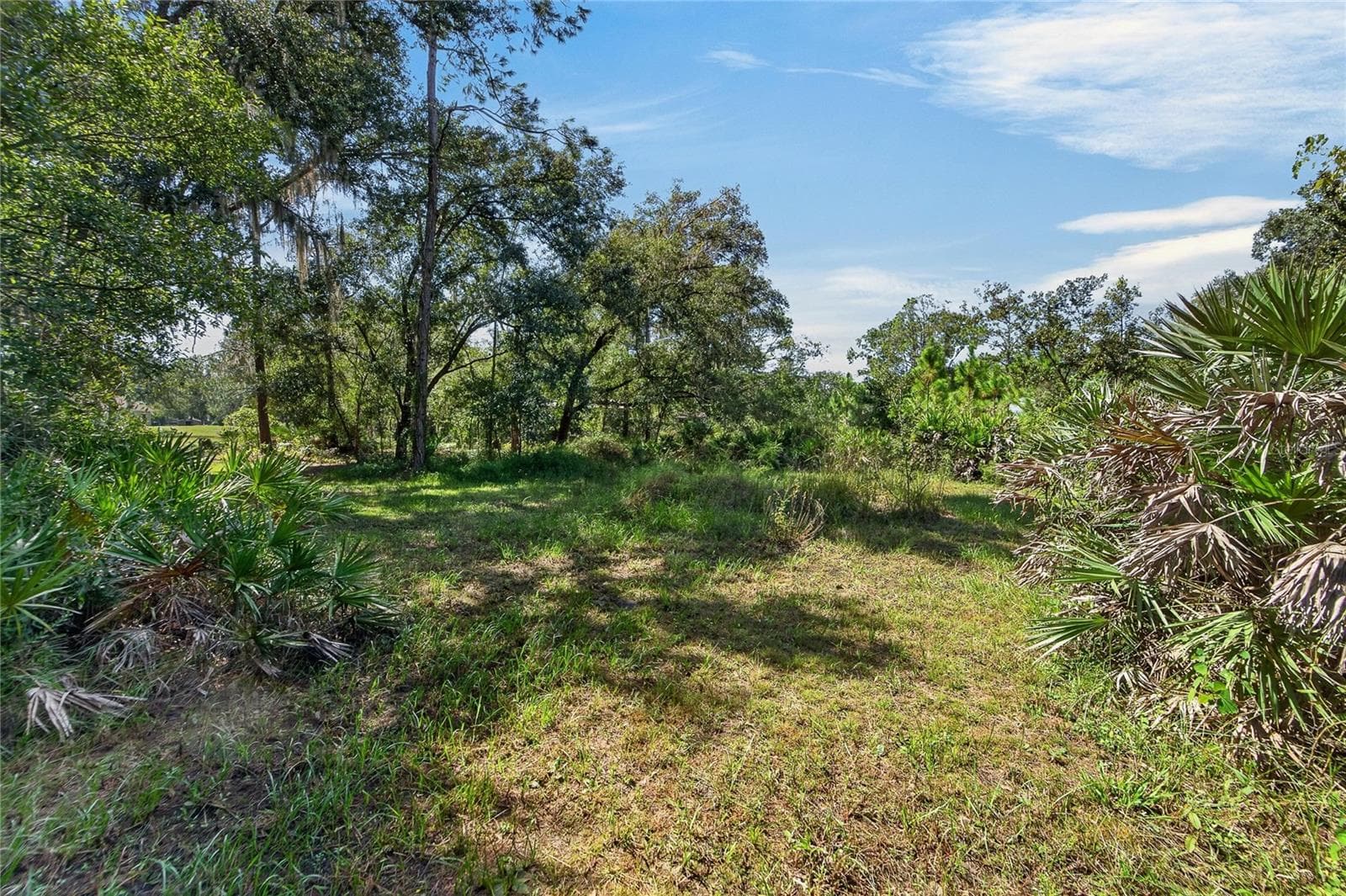Wooded lot with oines and oaks - 0 LINDENHURST DR, WESLEY CHAPEL