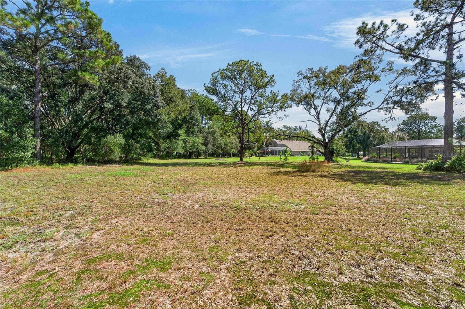 Back area - 0 LINDENHURST DR, WESLEY CHAPEL