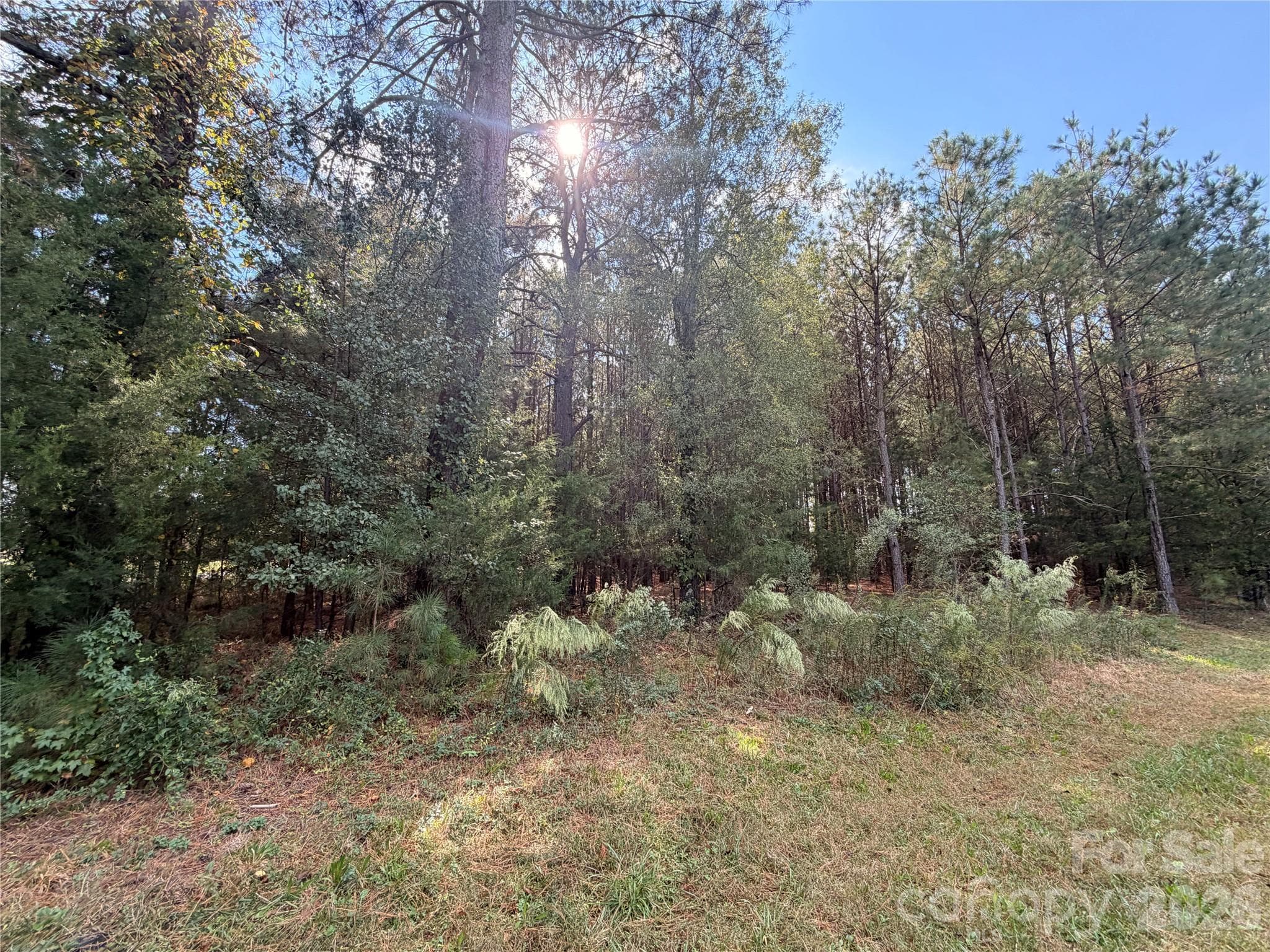 Lot at 00 Barbees Grove Road, Oakboro, photo 2 of 6