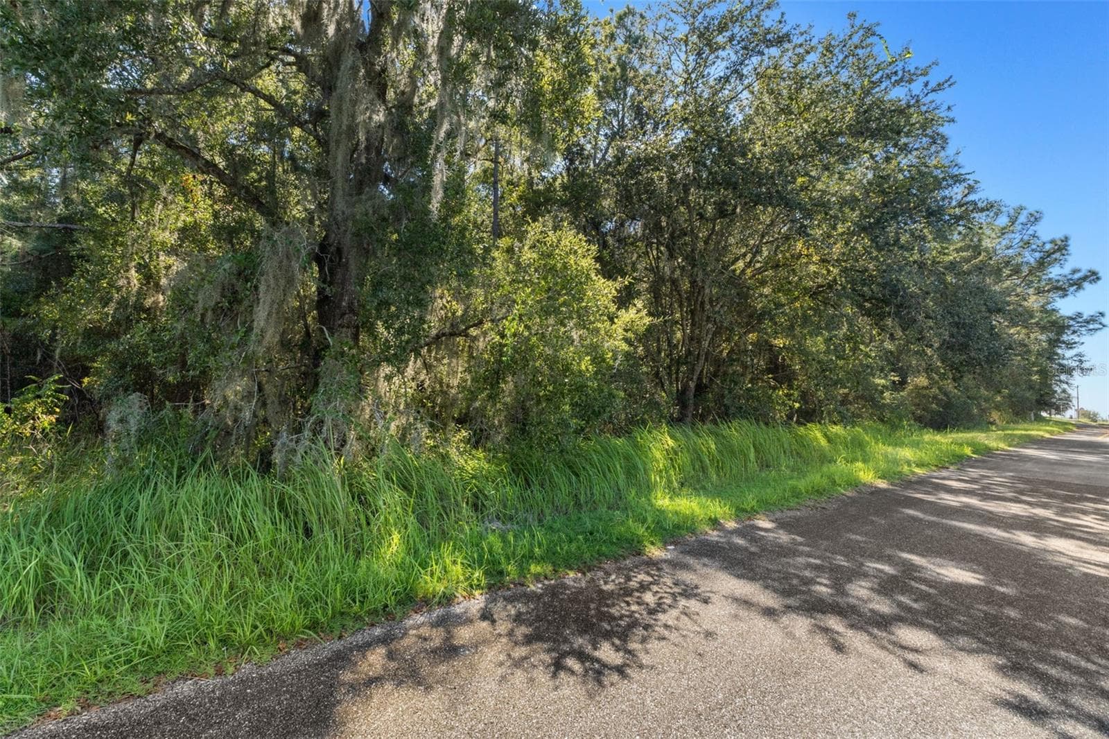 Land at 2798 W NORVELL BRYANT HWY, LECANTO, photo 25 of 31