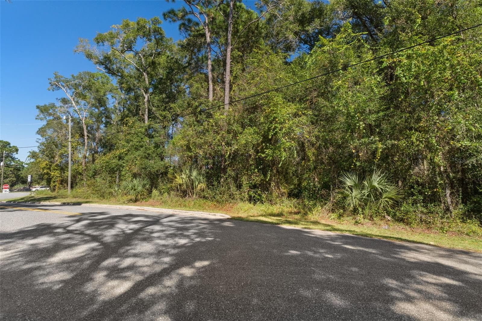 Land at 2798 W NORVELL BRYANT HWY, LECANTO, photo 31 of 31