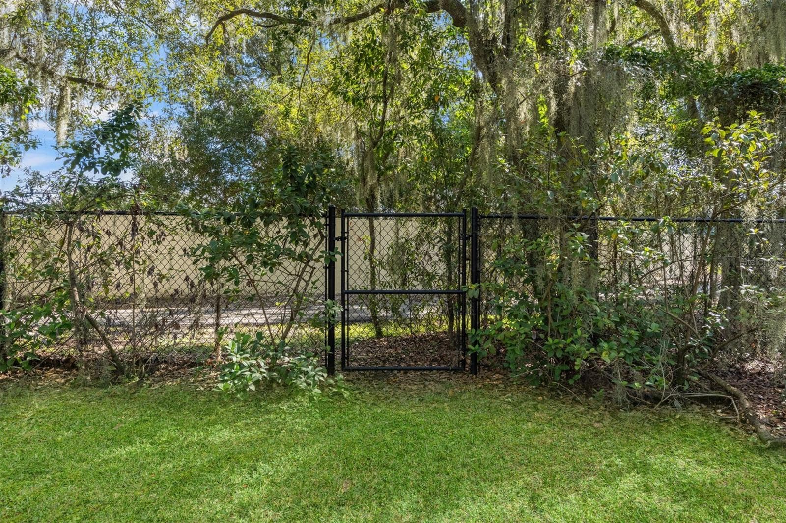 Single Family Residence at 6029 HAMMOCK HILL AVE, LITHIA, photo 54 of 67