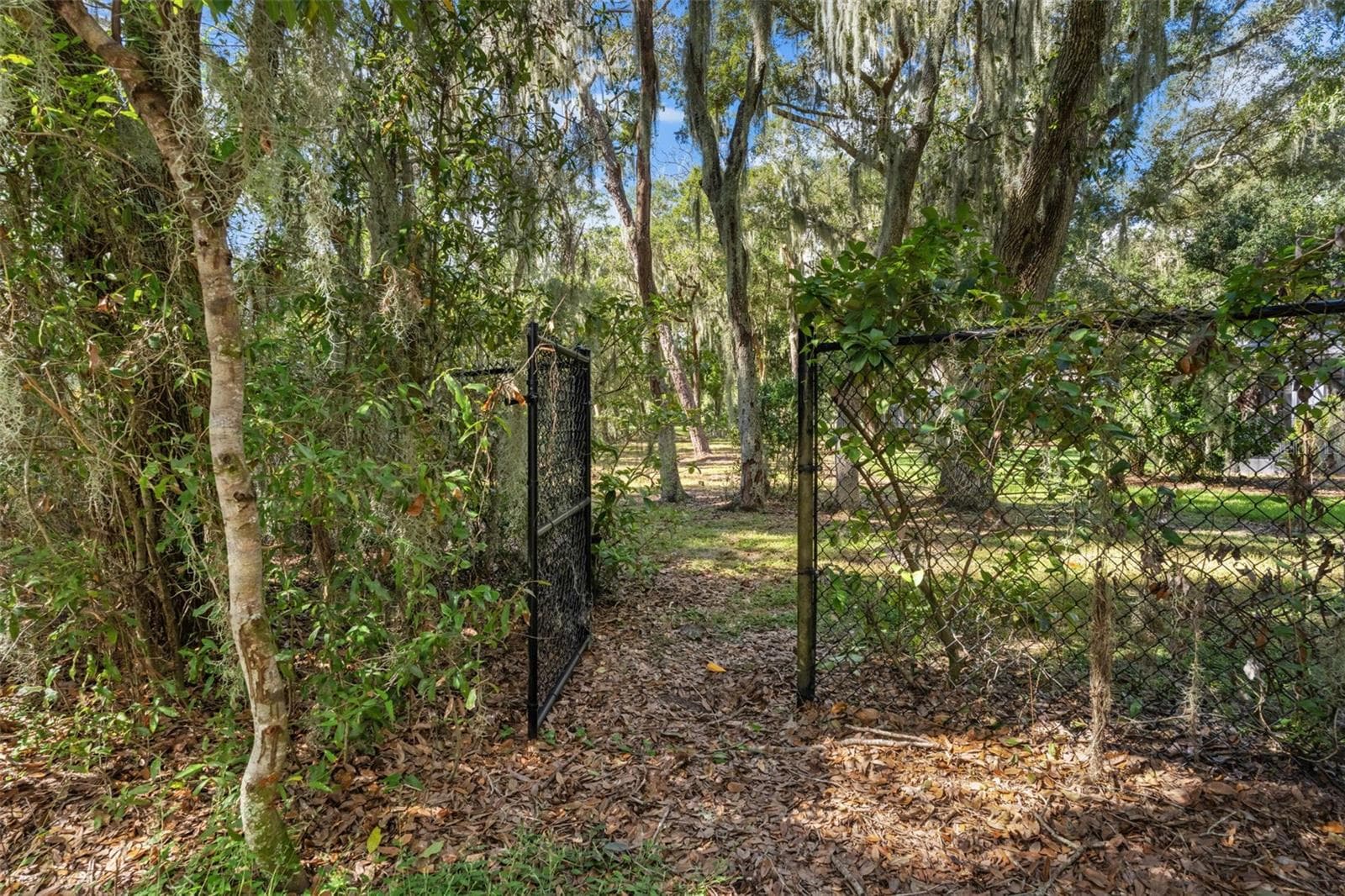 Single Family Residence at 6029 HAMMOCK HILL AVE, LITHIA, photo 55 of 67