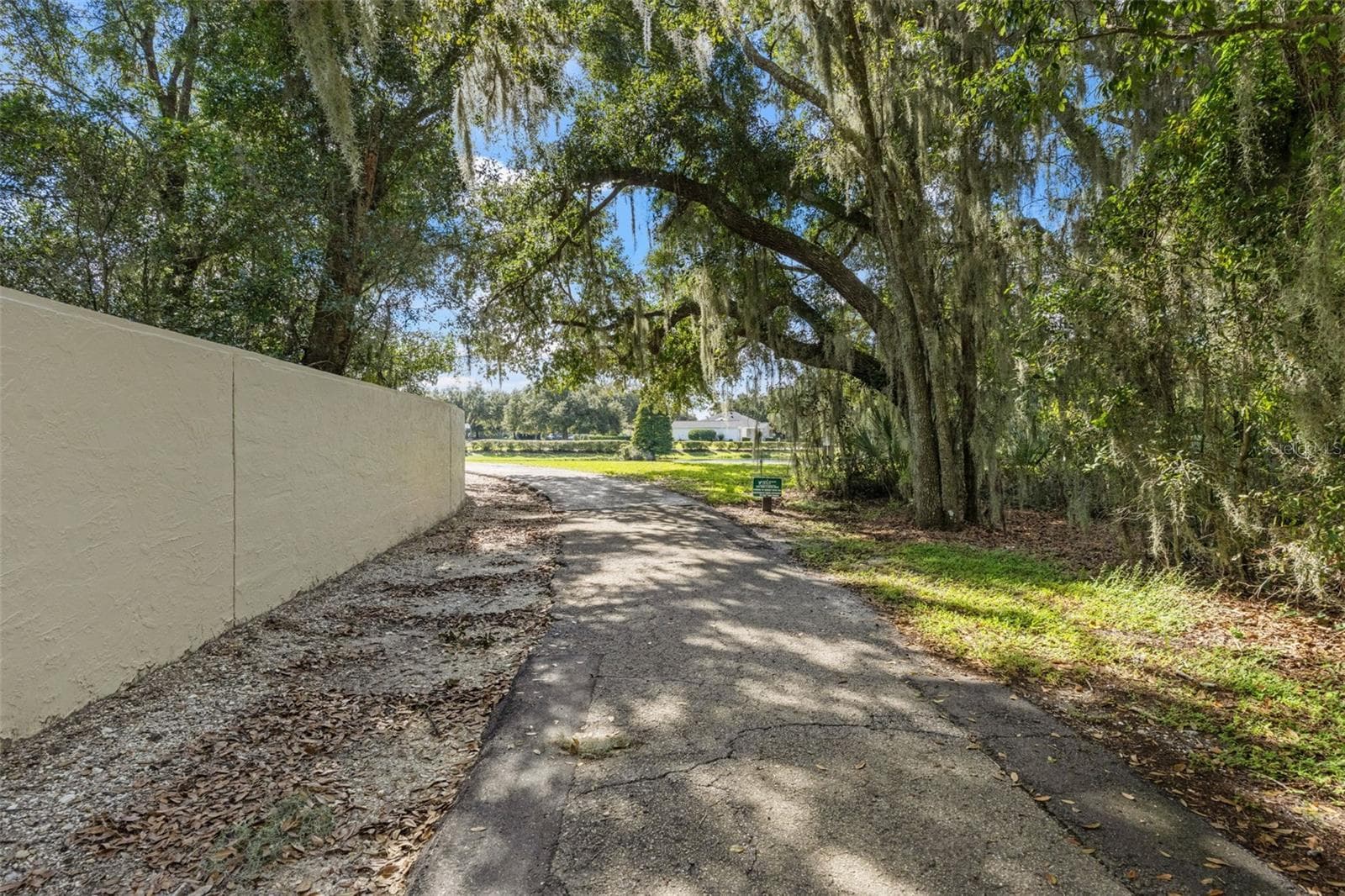 Single Family Residence at 6029 HAMMOCK HILL AVE, LITHIA, photo 57 of 67