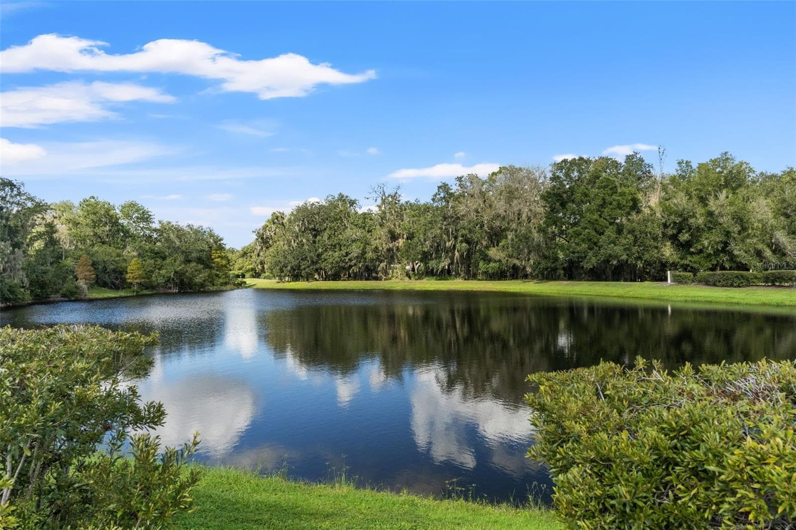 Single Family Residence at 6029 HAMMOCK HILL AVE, LITHIA, photo 59 of 67