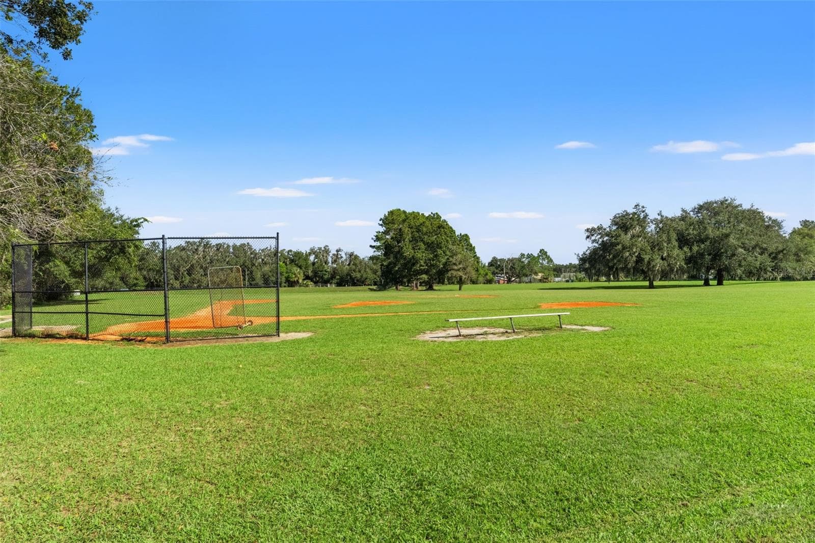 Single Family Residence at 6029 HAMMOCK HILL AVE, LITHIA, photo 62 of 67