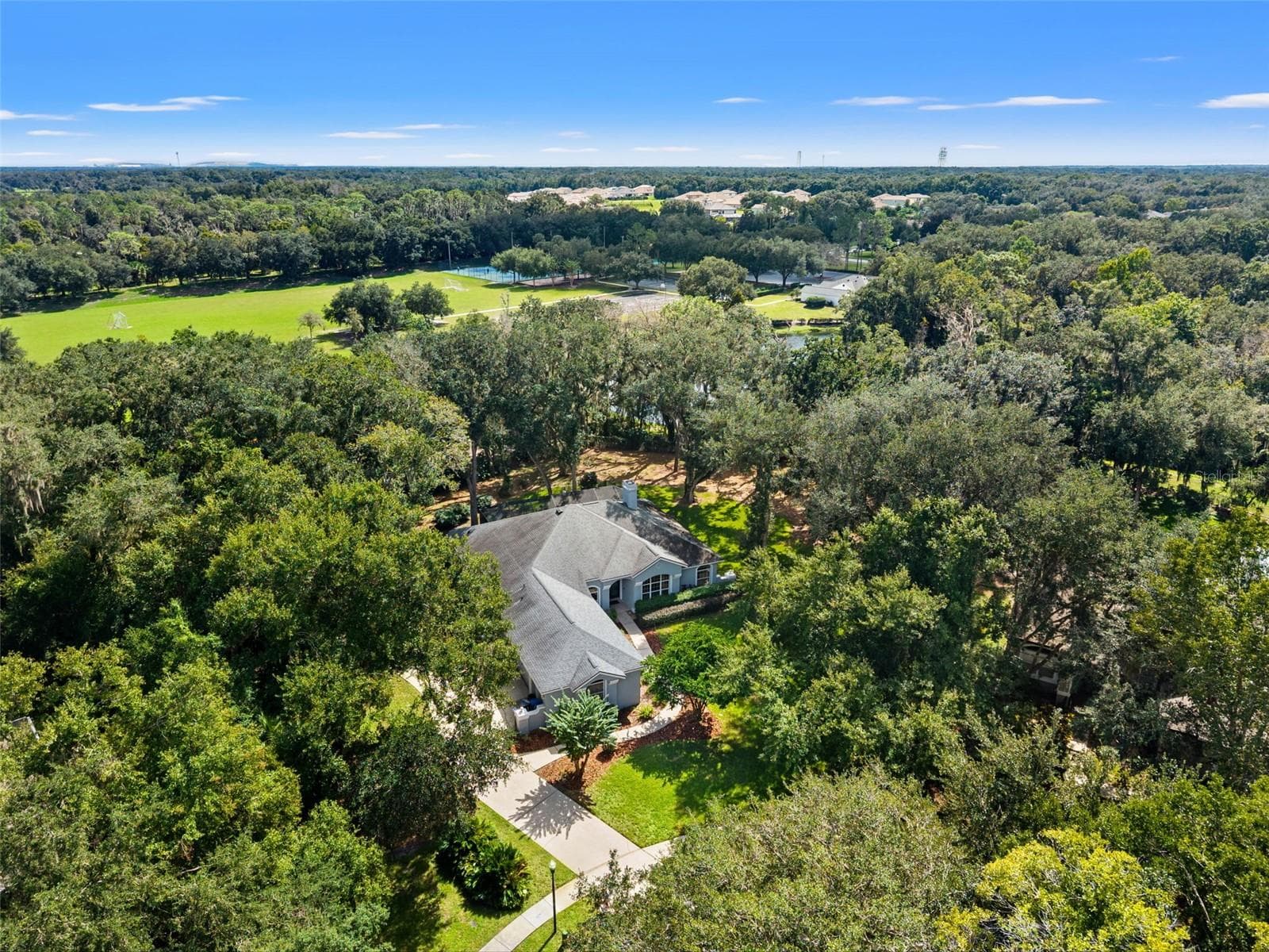 Single Family Residence at 6029 HAMMOCK HILL AVE, LITHIA, photo 65 of 67