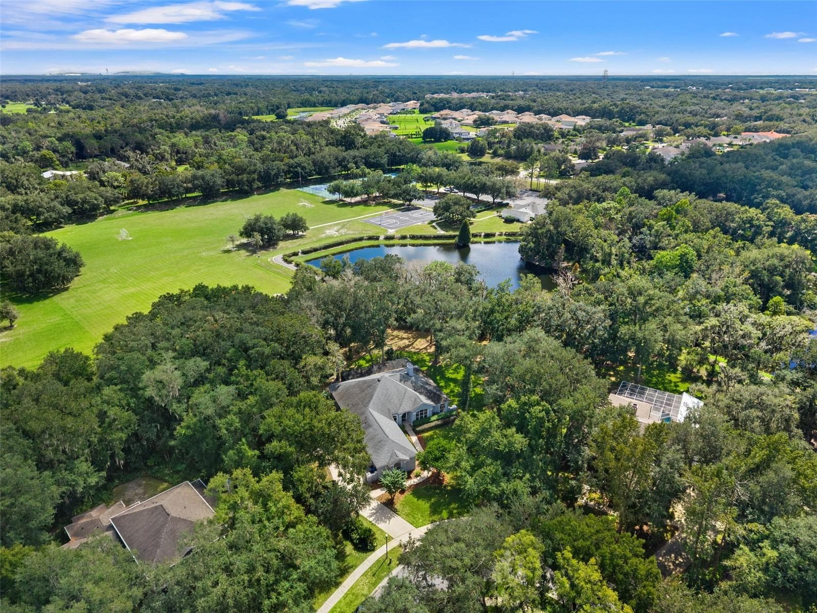 Single Family Residence at 6029 HAMMOCK HILL AVE, LITHIA, photo 66 of 67