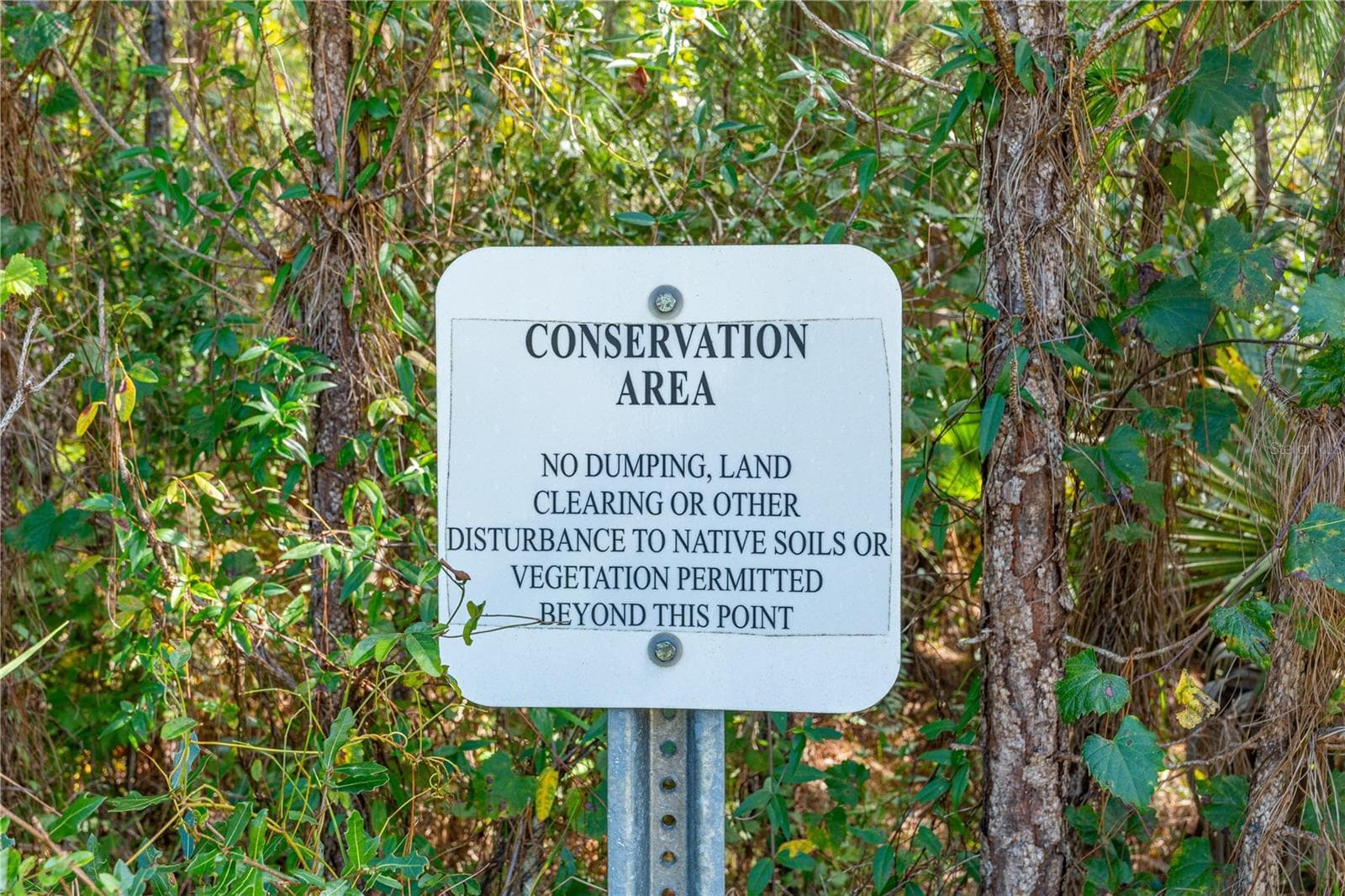 Backs up to Conservation - 335 SARAH NICOLE WAY, NEW SMYRNA BEACH