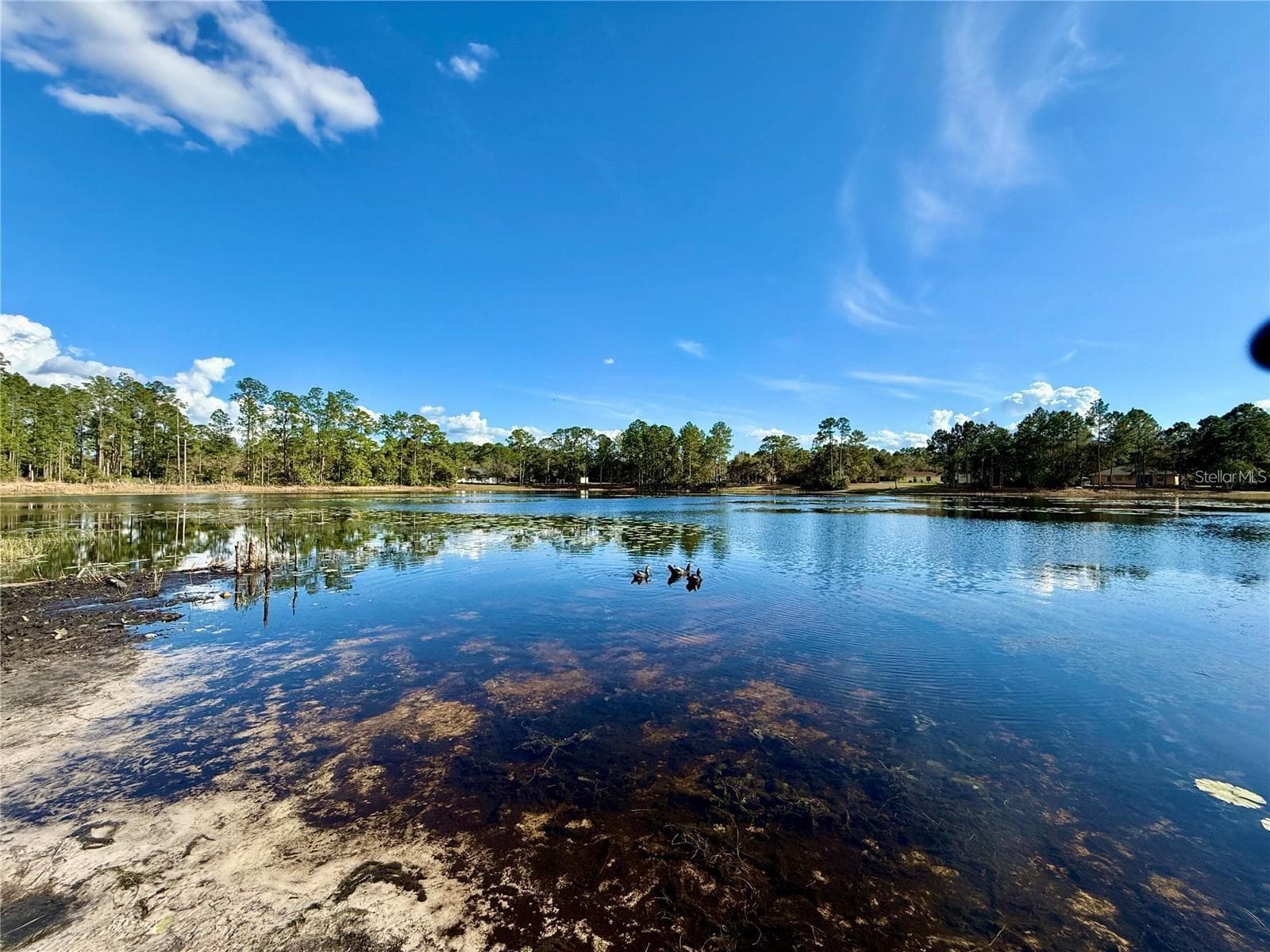 Lake Marion within community - 41428 ROYAL TRAILS RD, EUSTIS