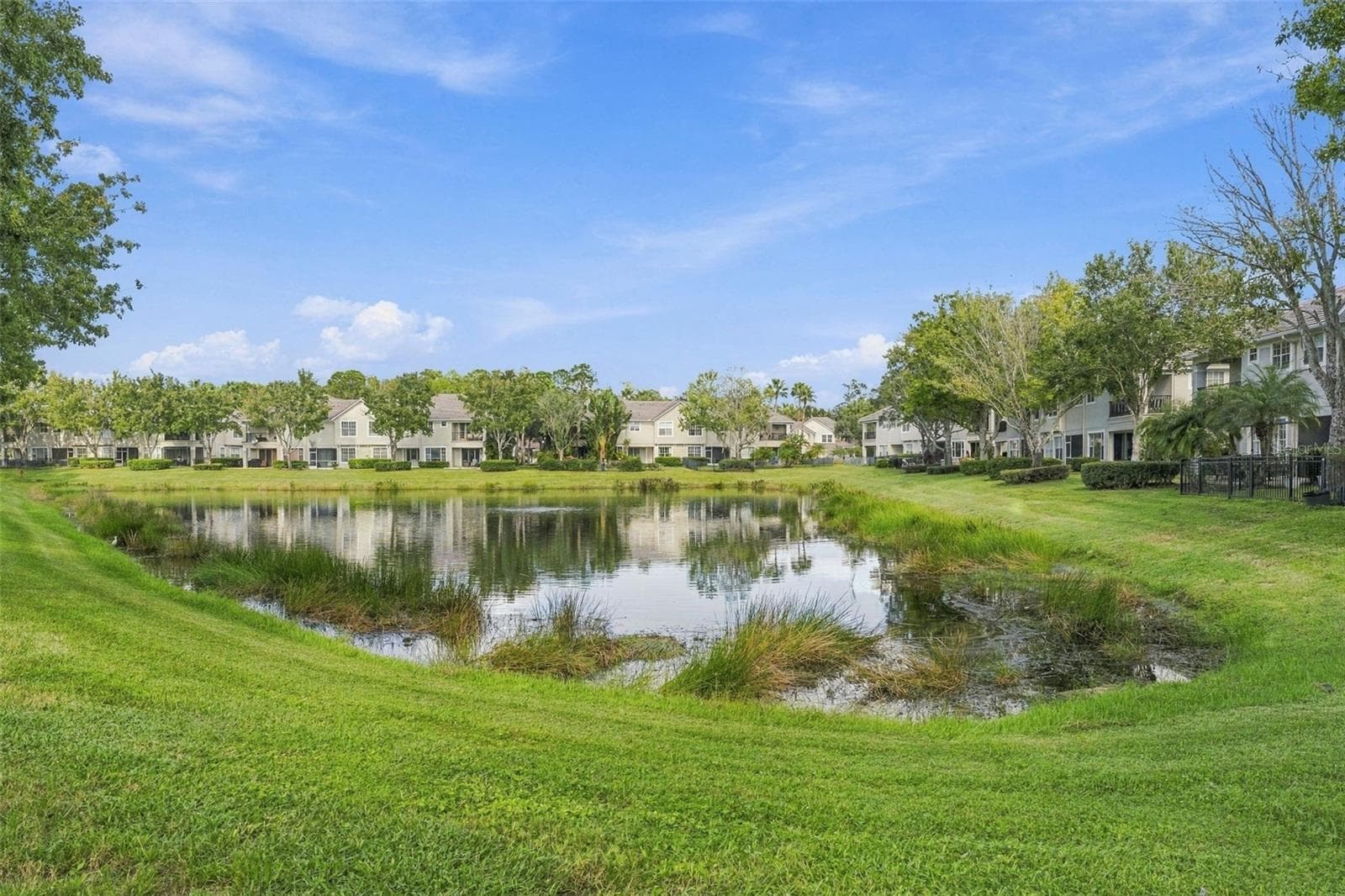 Rear Lawn View - 14454 MIRABELLE VISTA CIR, TAMPA