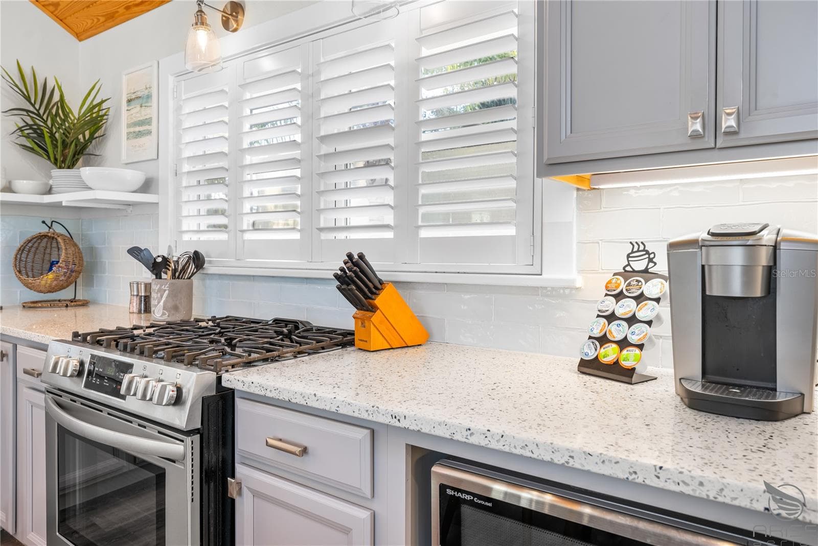 Single Family Residence at 305 LIVE OAK, NEW SMYRNA BEACH, photo 21 of 52