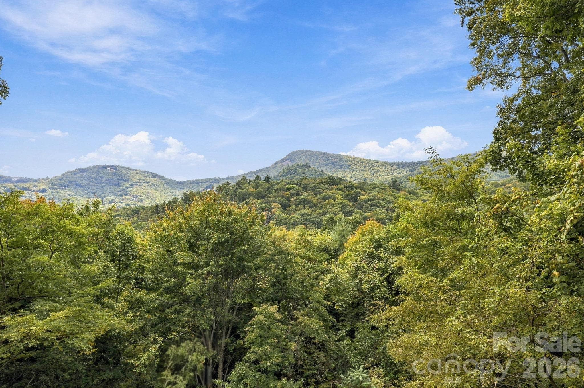 Single Family Residence at 407 Crescent Moon Lane, Cashiers, photo 8 of 48