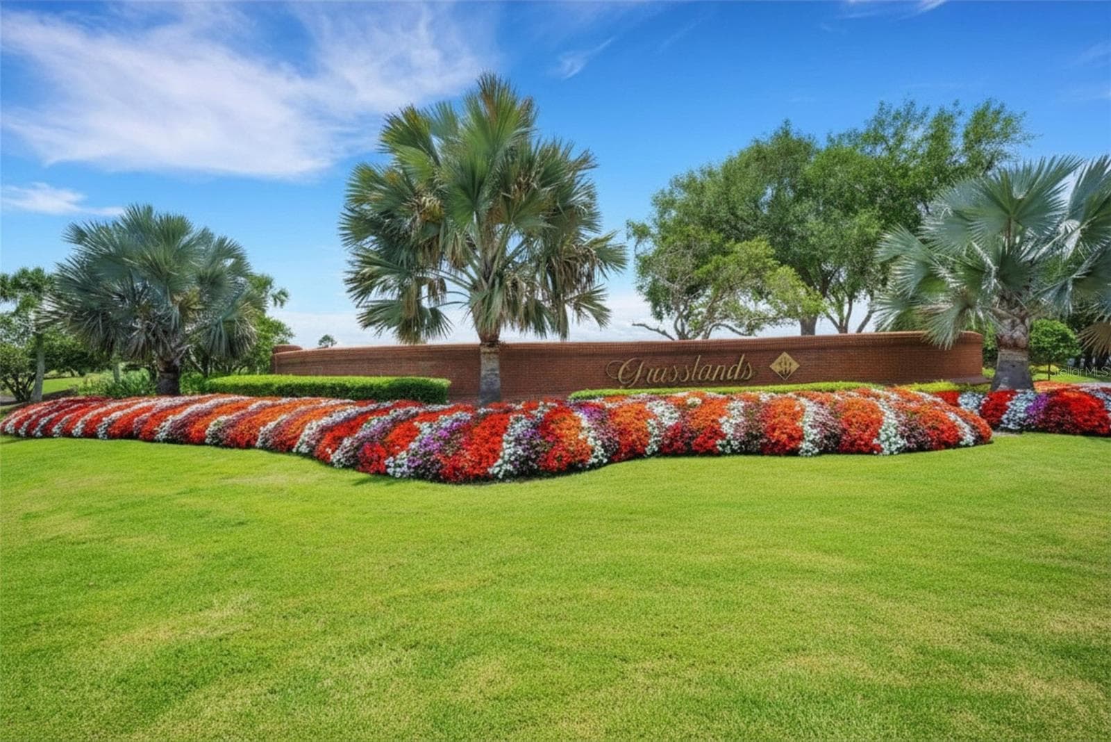 Make time to discover the Grasslands secret for yourself soon. - 2734 BELLERIVE DR, LAKELAND