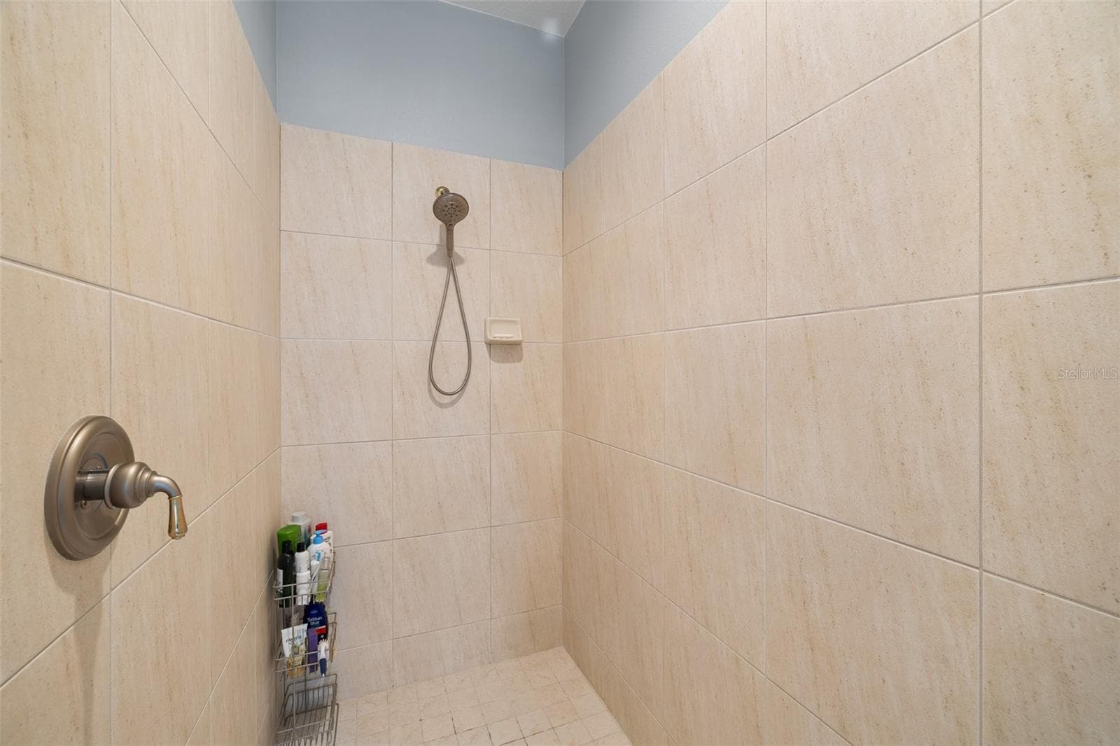 Single Family Residence at 13618 LARSEN LN, WINTER GARDEN, photo 67 of 91
