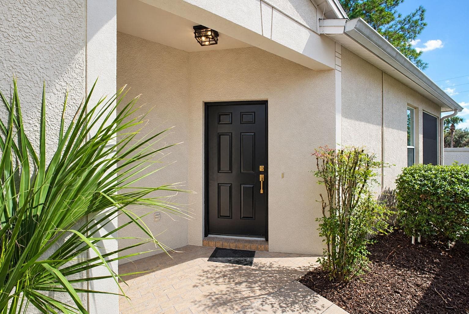 Front Door - 31421 SHAKER CIR, WESLEY CHAPEL