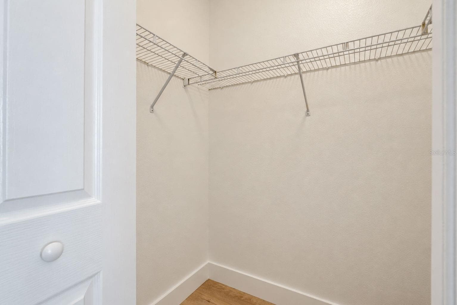 Main Closet 1 - 31421 SHAKER CIR, WESLEY CHAPEL
